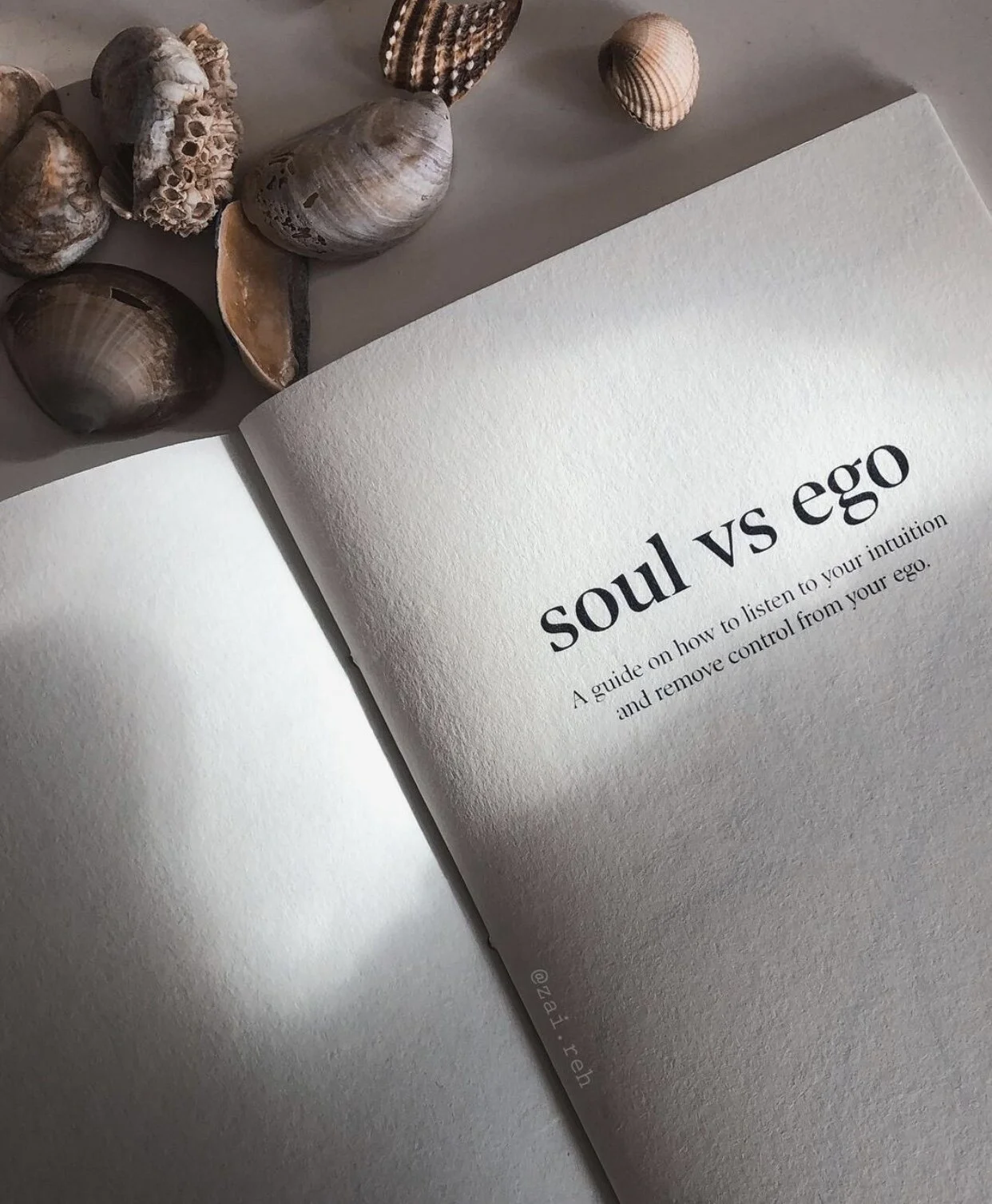 Soul vs Ego Booklet - Spread