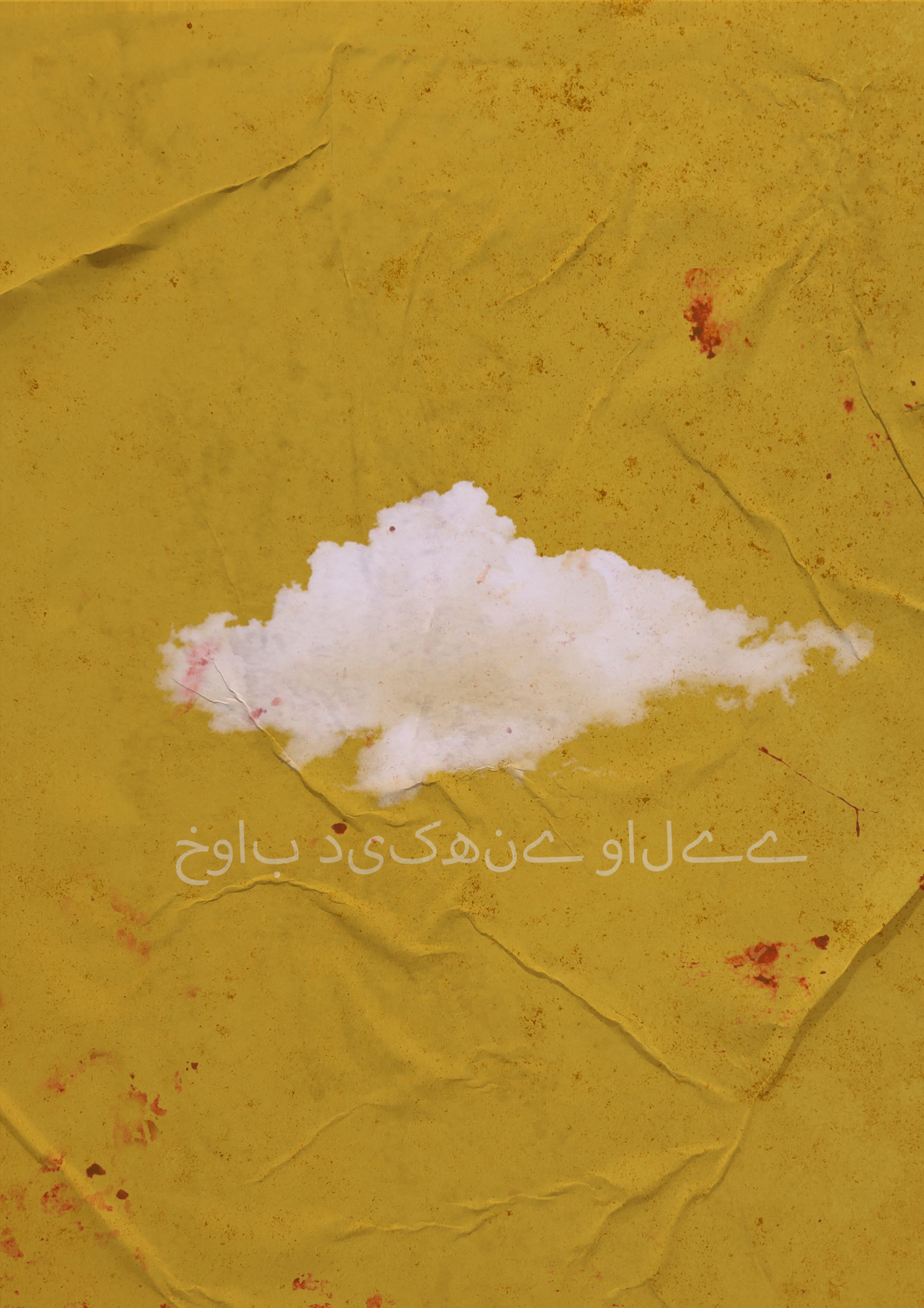 The Ones Who Dream 0.1 - Poster series for the civil war in Pakistan