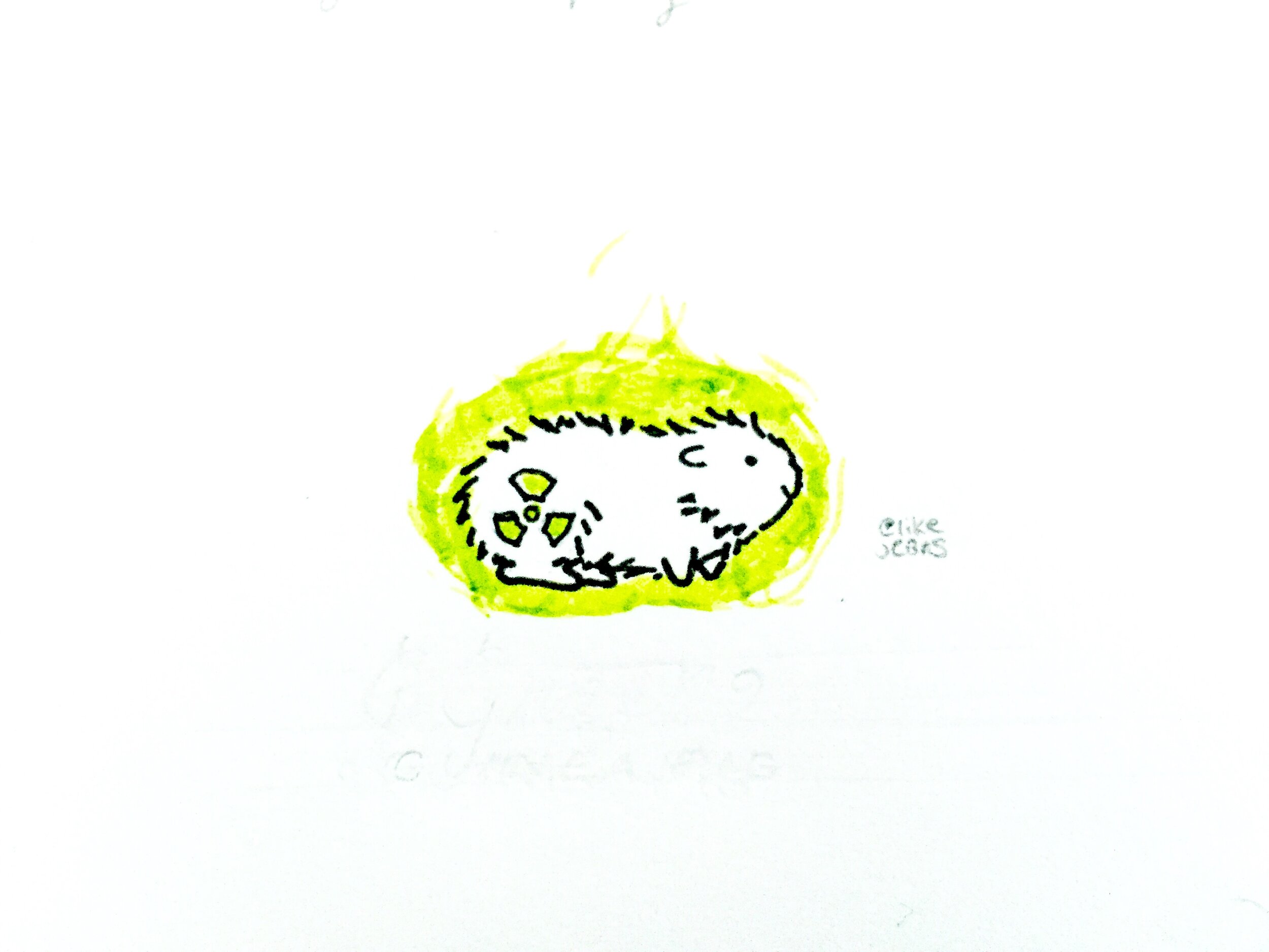 green guinea pig – submitted by mekhi coombs