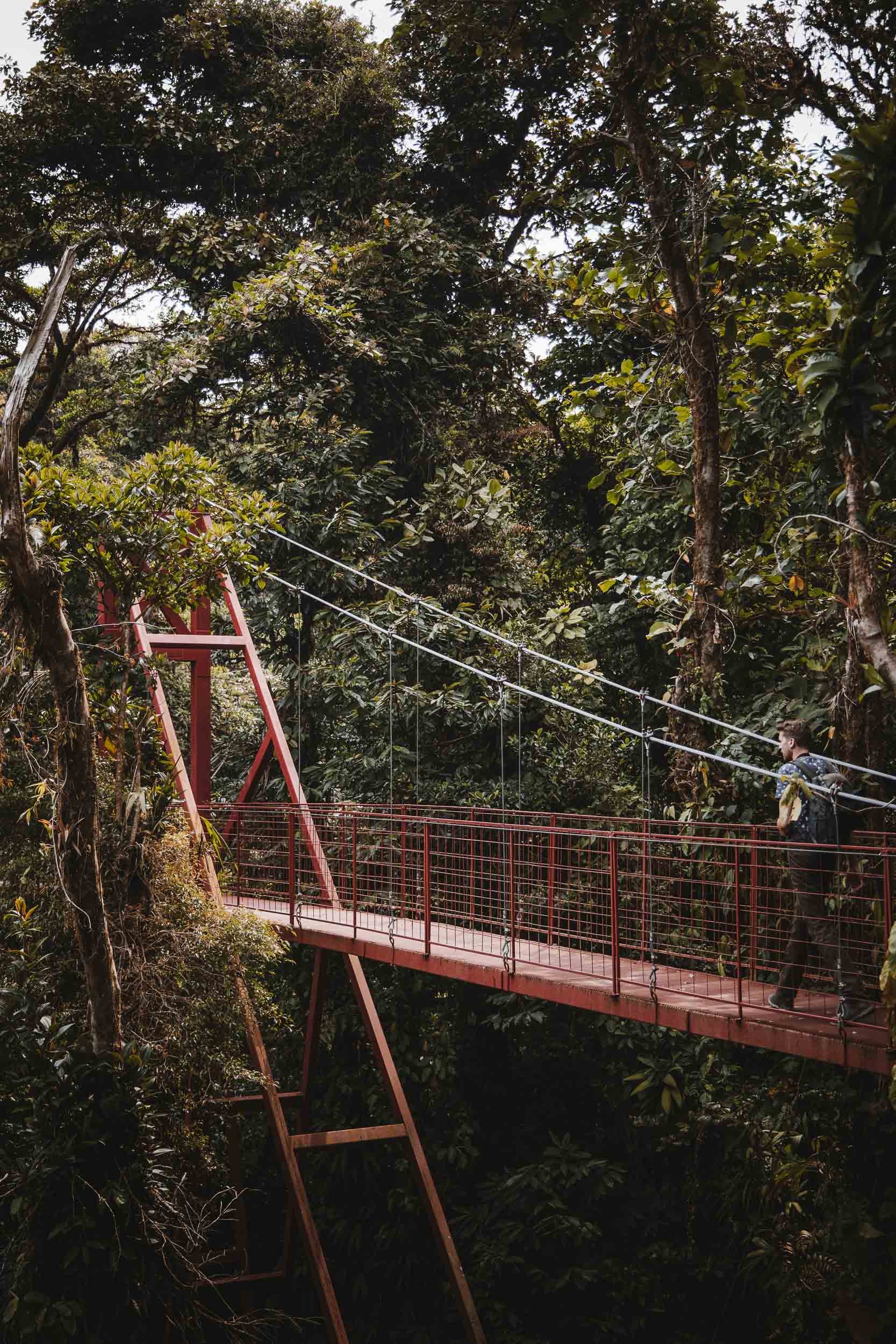 Monteverde-Hanging-Bridge-Costa-Rica.jpg