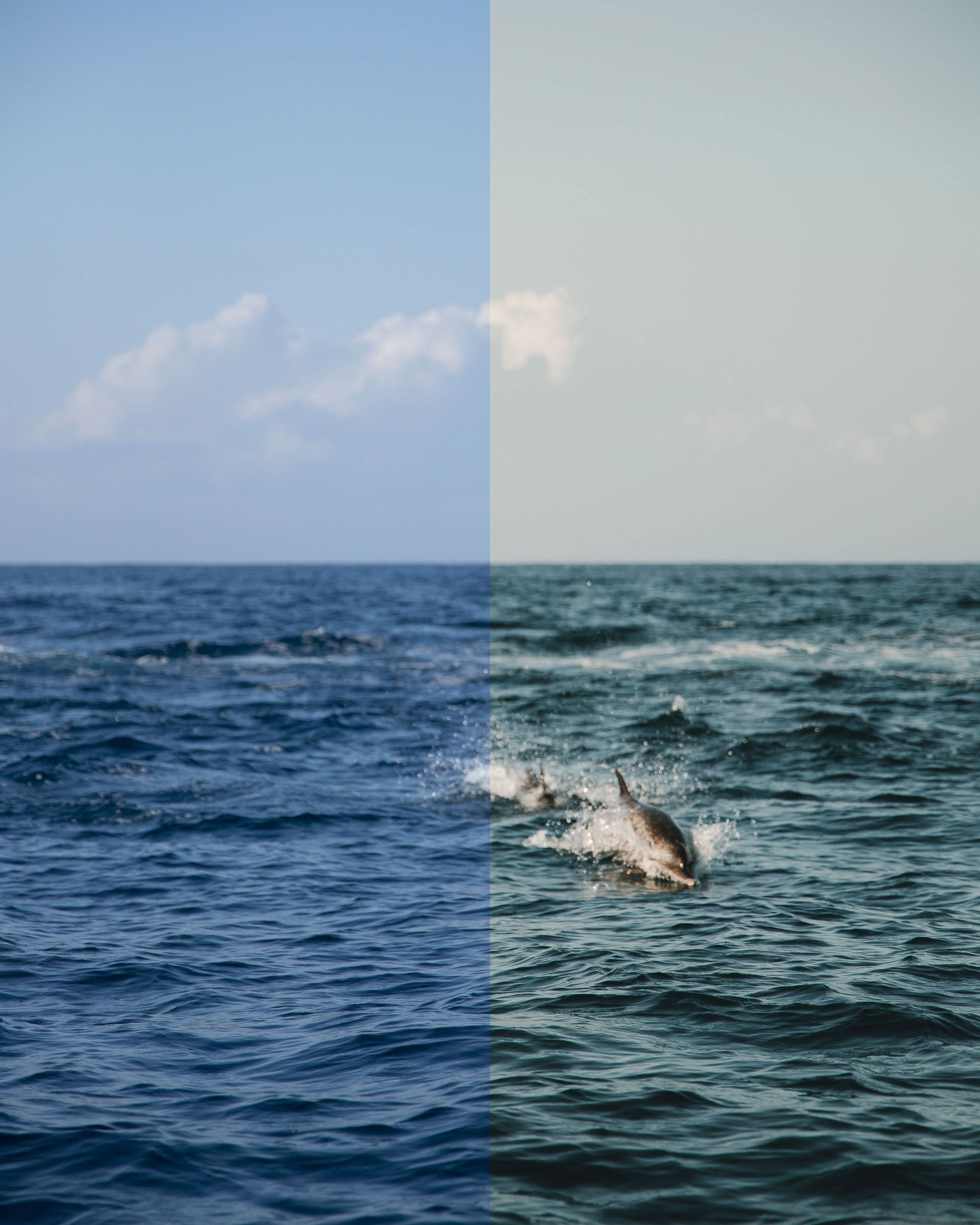Sunny Side Up-Splitscreen-01.jpg