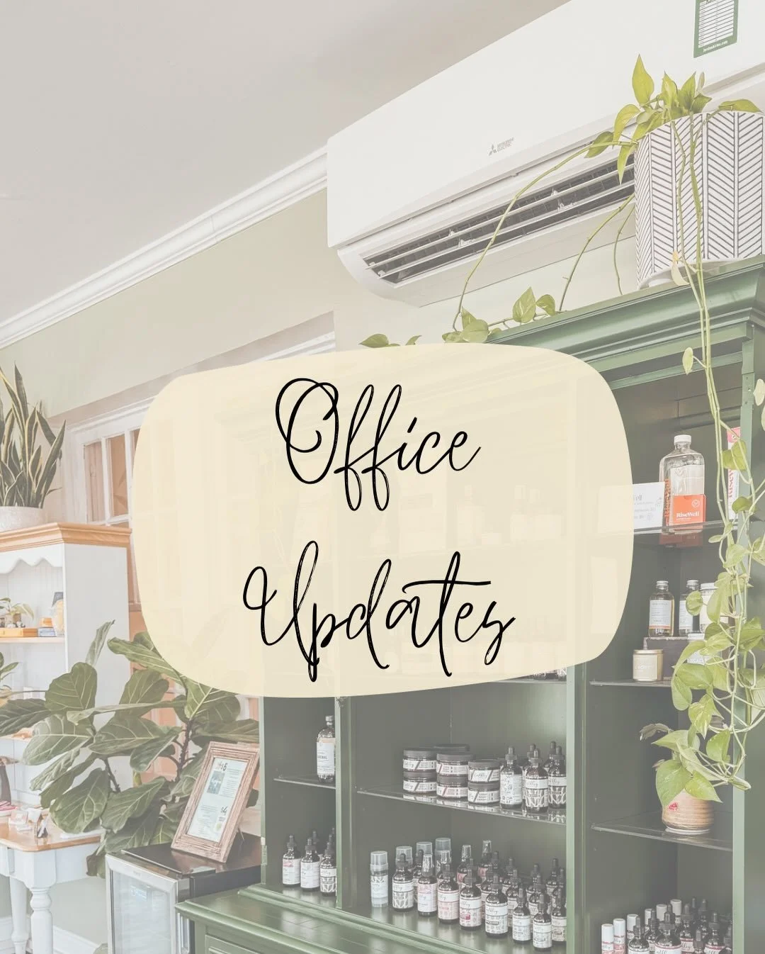 OFFICE UPDATES for The Haven are here!!!! 🎉🎊

We will be updating the newsletter as well but wanted to give y&rsquo;all an update here too!

As I said in the post, I try to be as transparent as possible. I&rsquo;ve also never had 2 kids &amp; owned