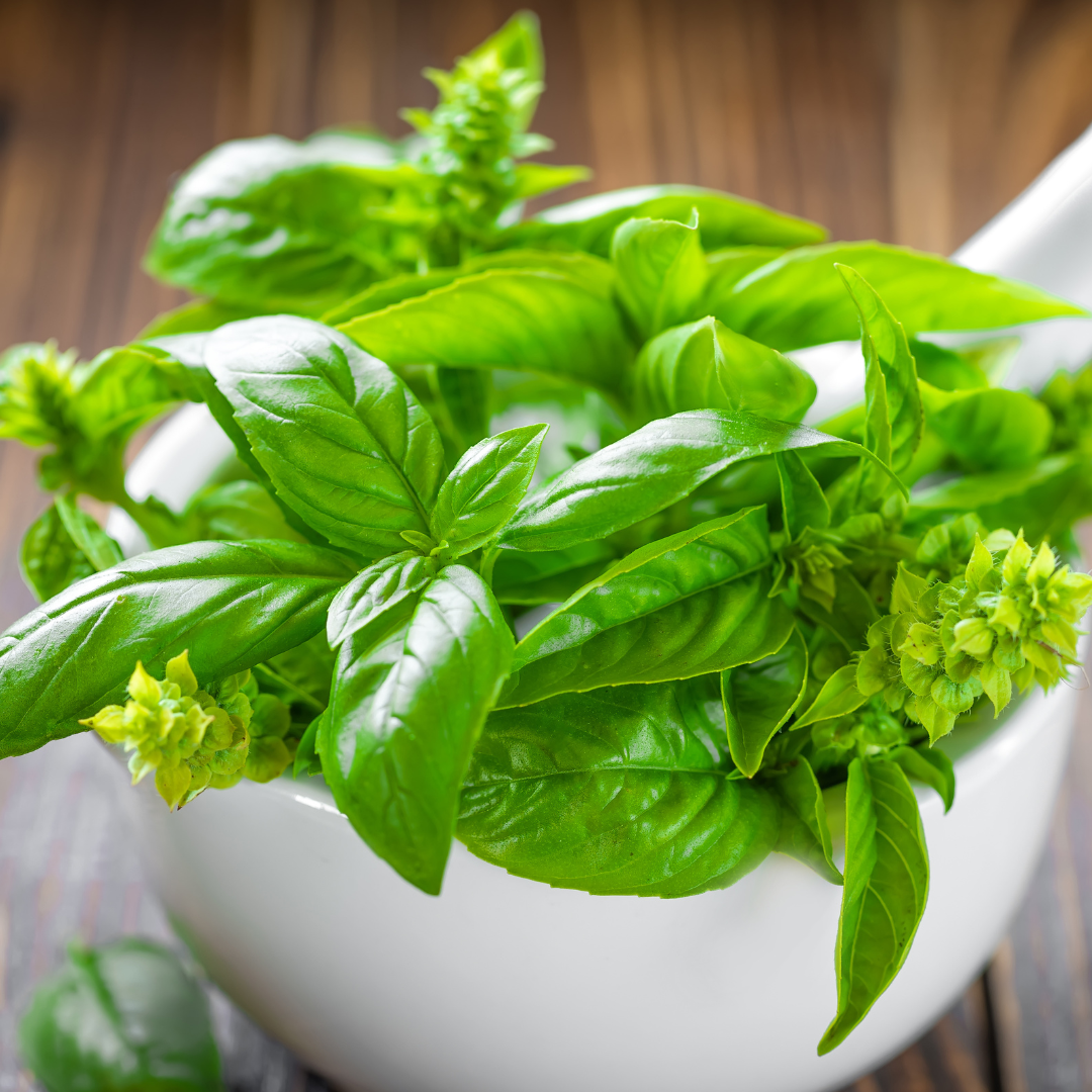 Fabulously Delicious French Food Andrew Prior