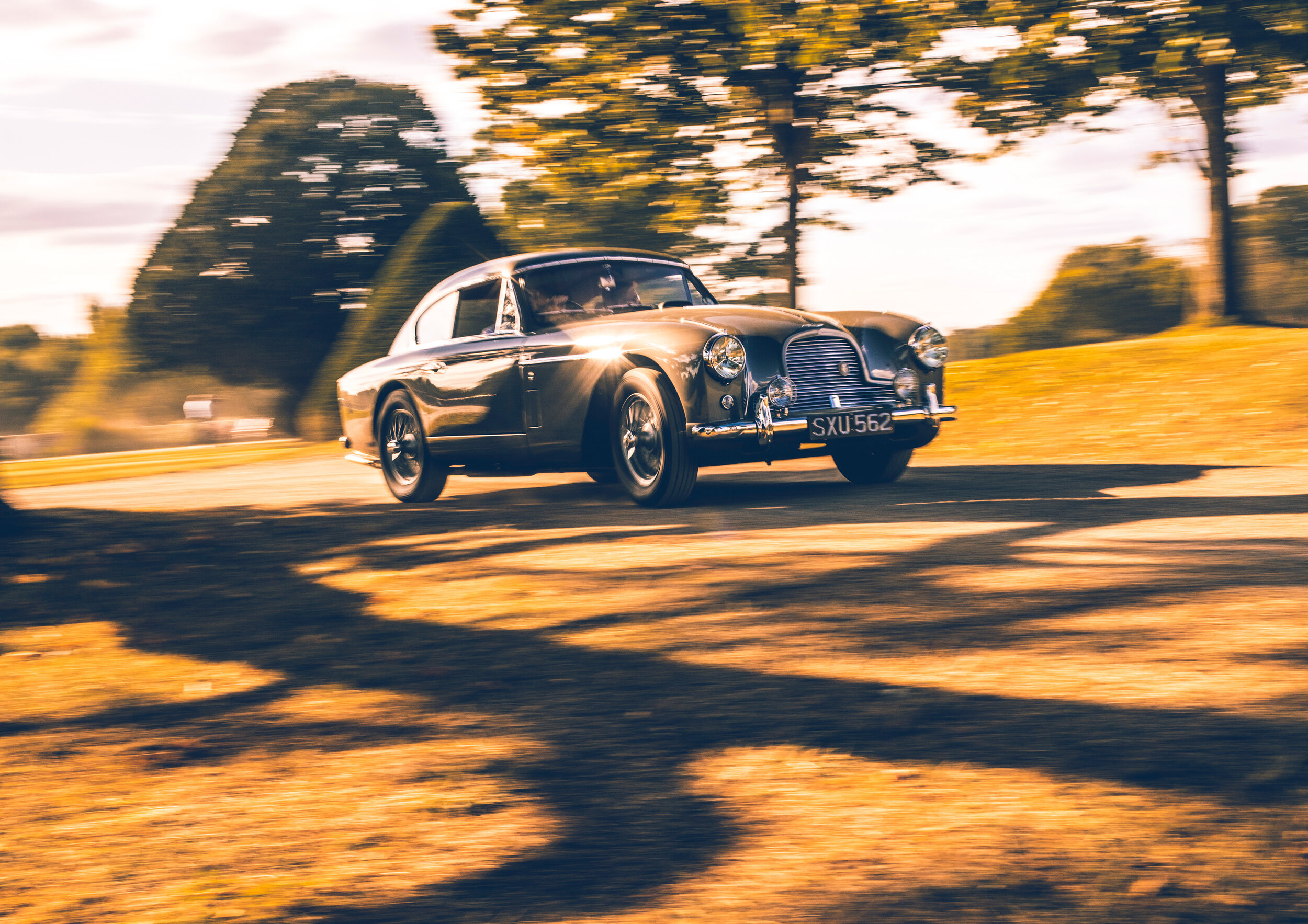 Evening Drive