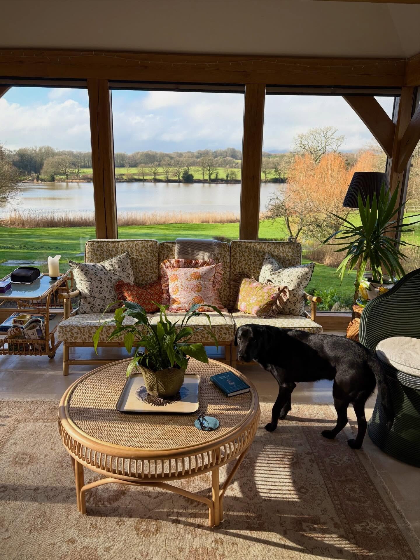 ☀️ 🪴 🐶 &hearts;️✨