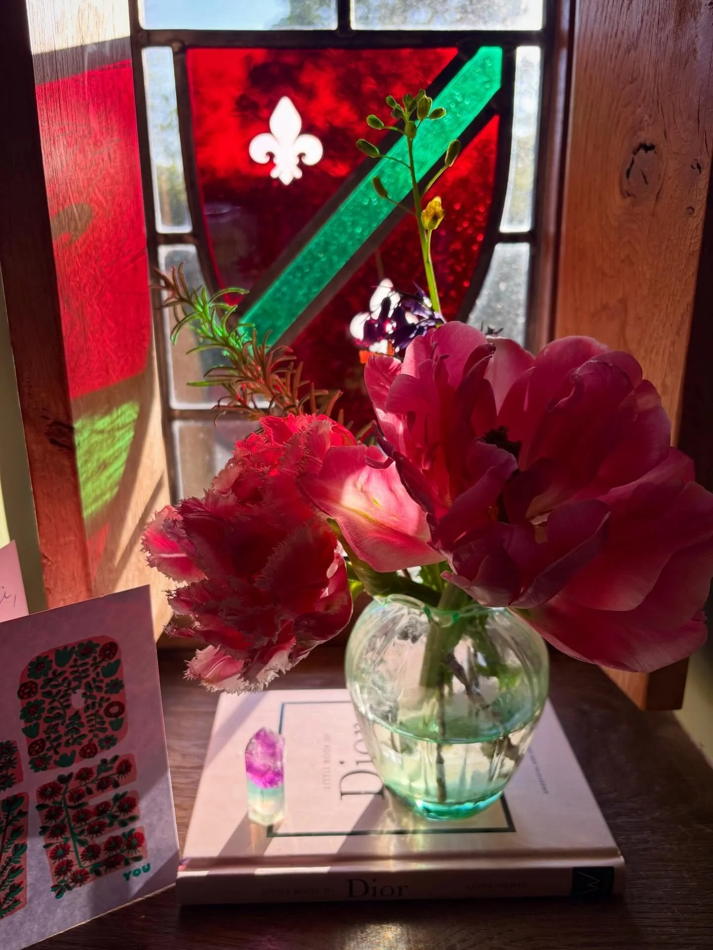 This weeks faves &hearts;️🌸 🎨 🐈&zwj;⬛ 👗