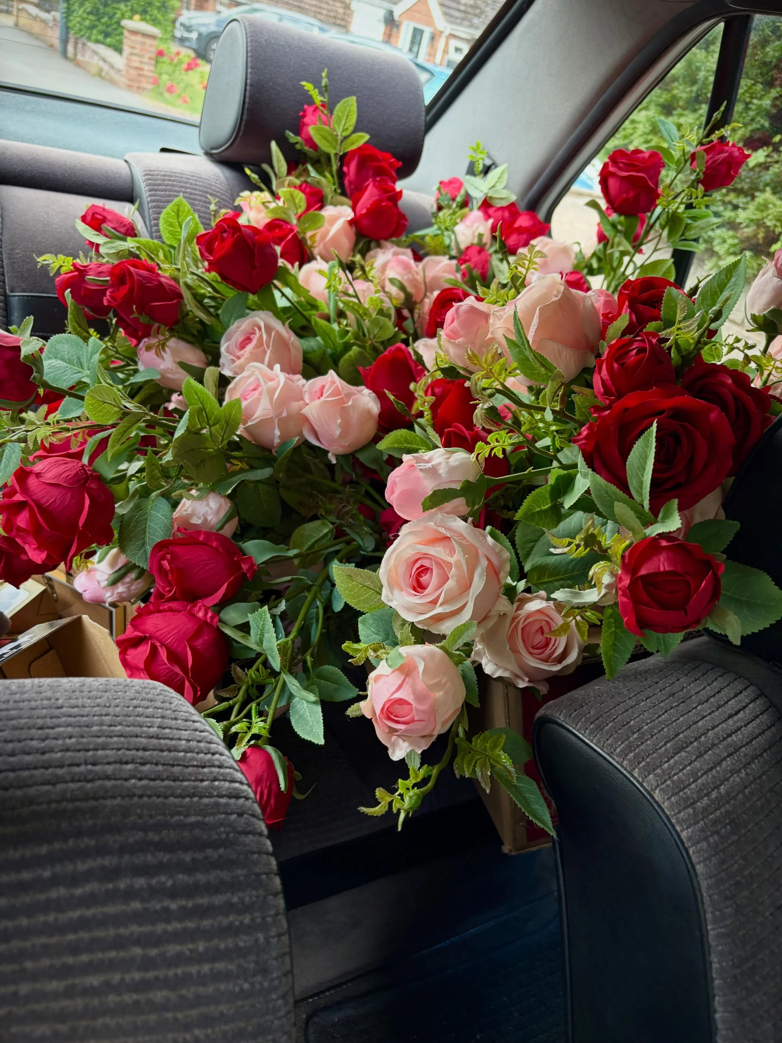 Lines Loves &hearts;️ Roses, fake and home grown (it&rsquo;s insta so often hard to tell ), Mr T &amp; Cam 🏇 Misha the working rescue 🐈&zwj;⬛ (don&rsquo;t pull my tassels), more rose love along with Mr T&rsquo;s onions 🧅 &hearts;️ Did someone say 