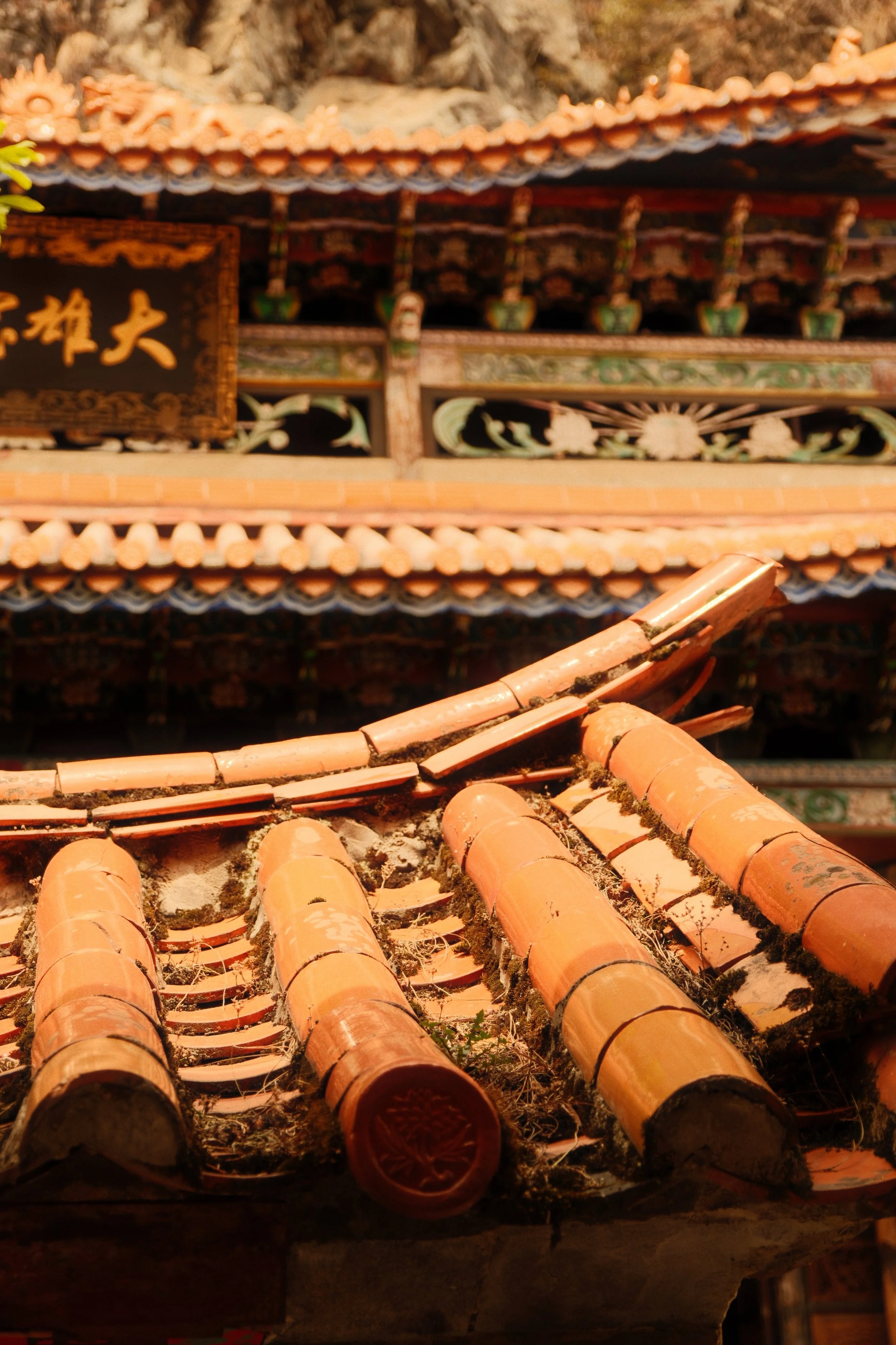 DSCF0632.JPG