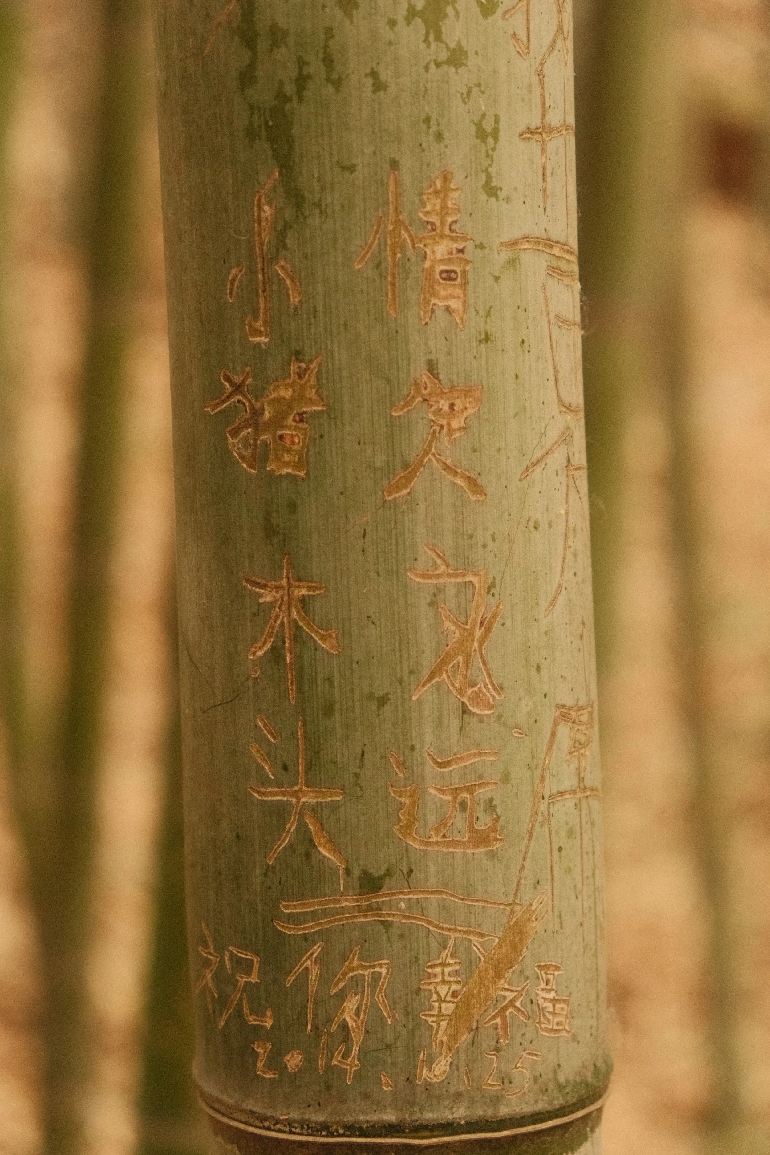 DSCF2672.JPG