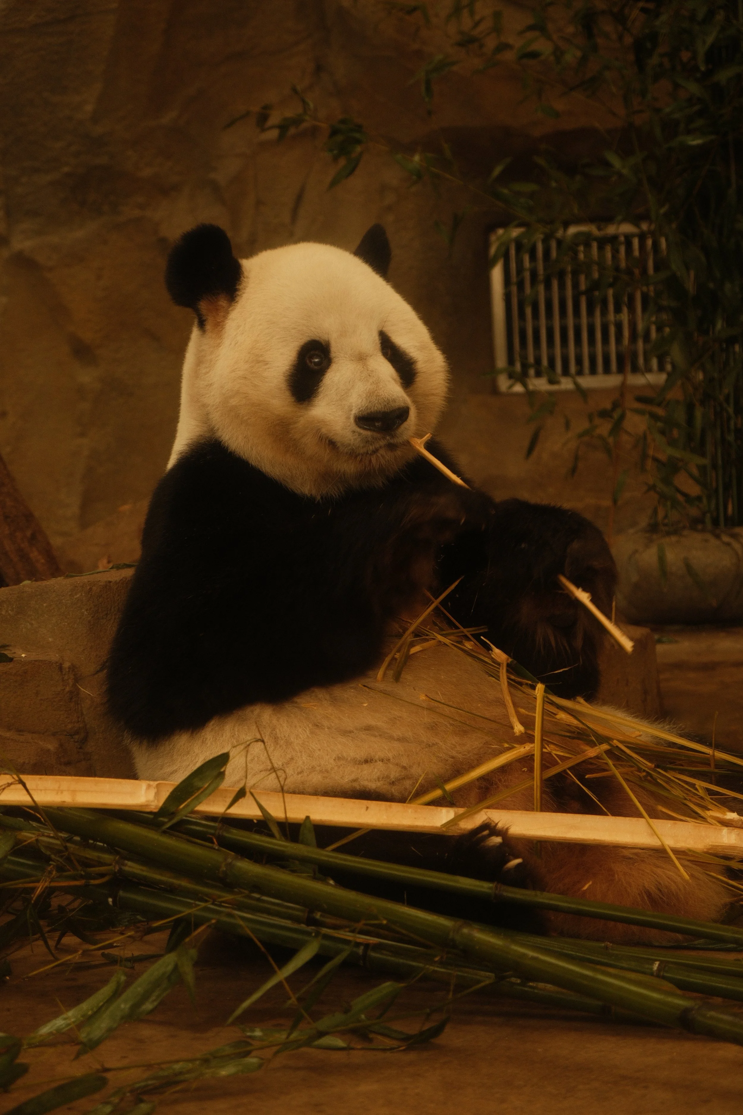 DSCF0661.JPG