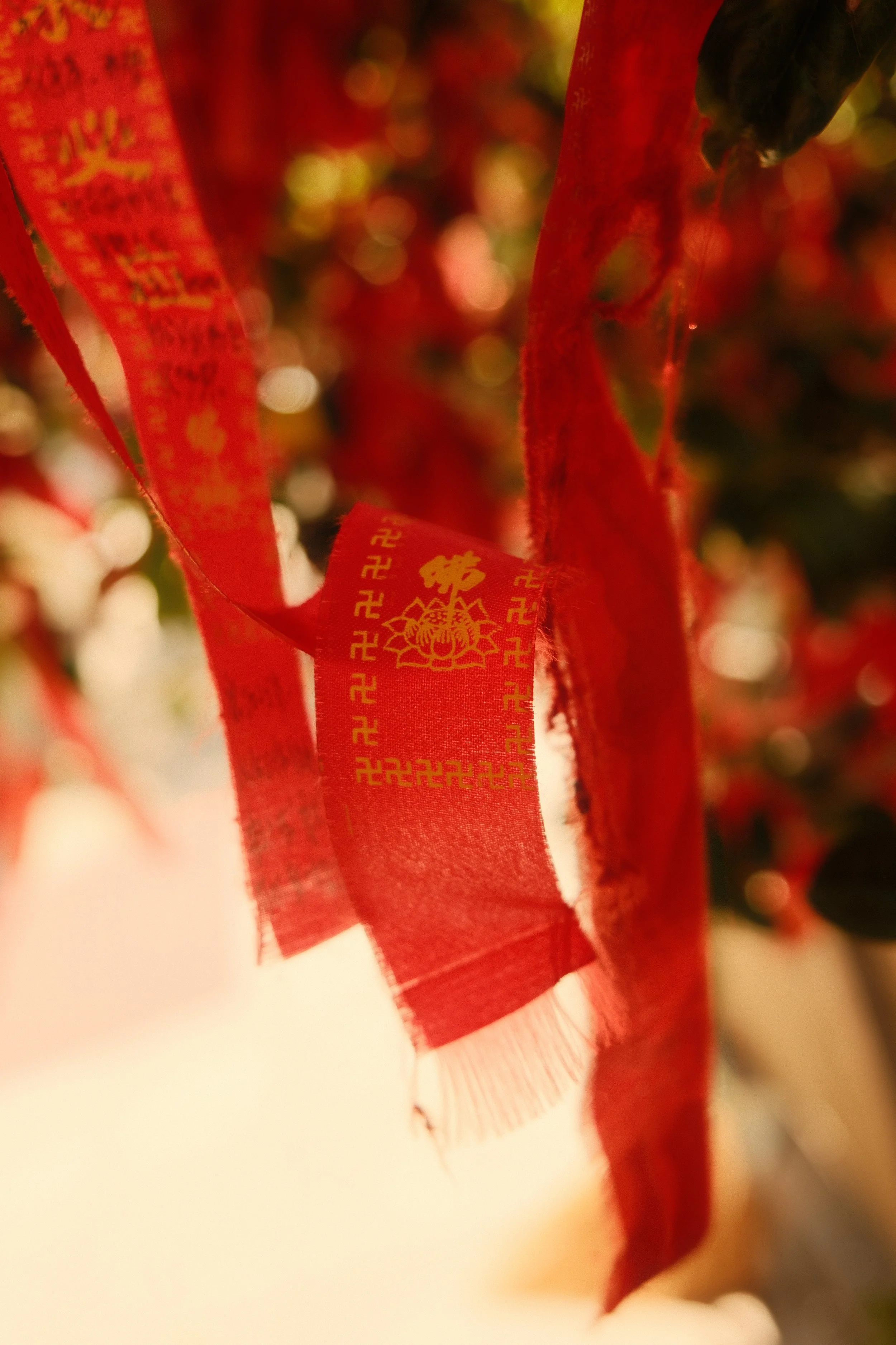 DSCF2525.JPG
