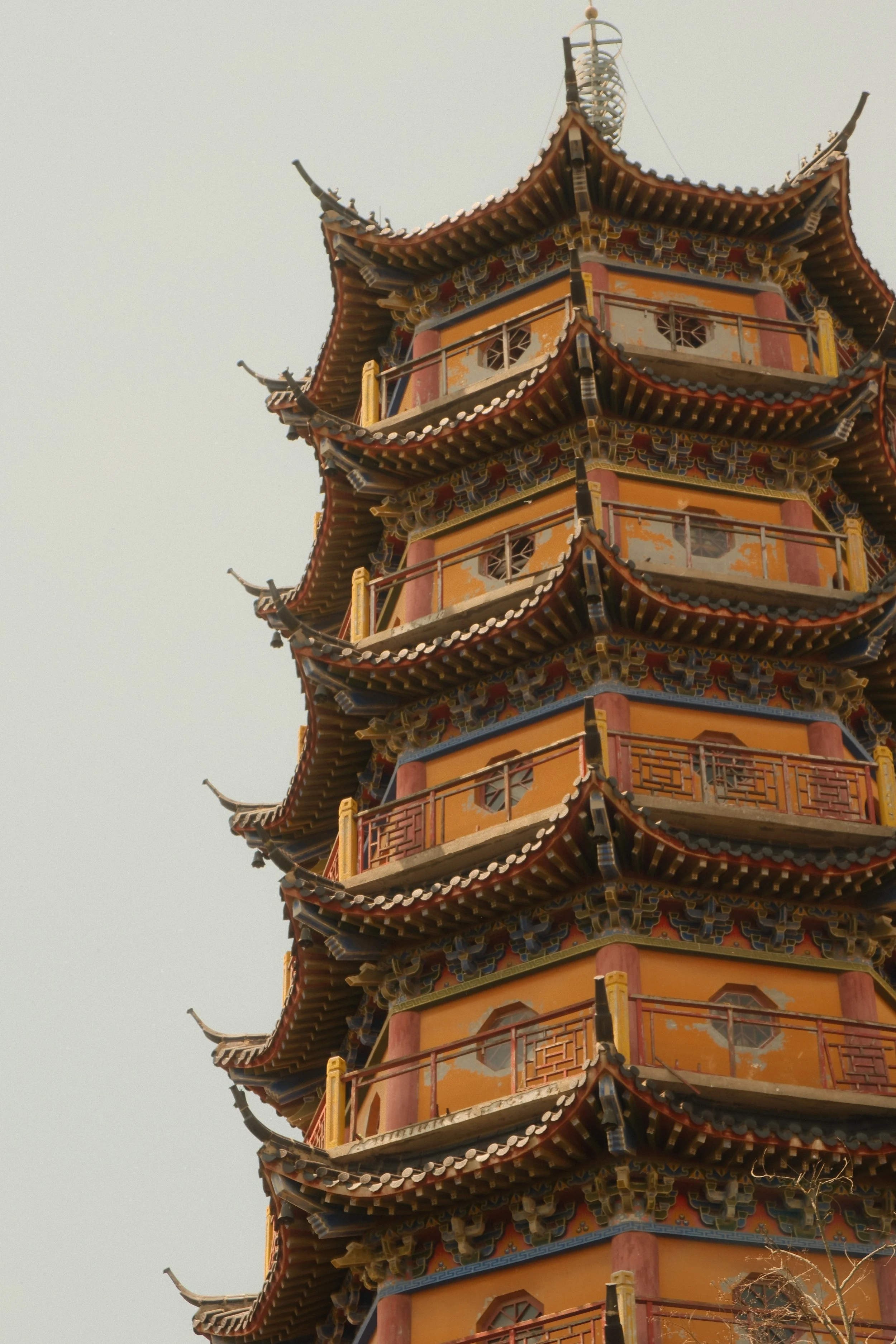 DSCF2513.JPG