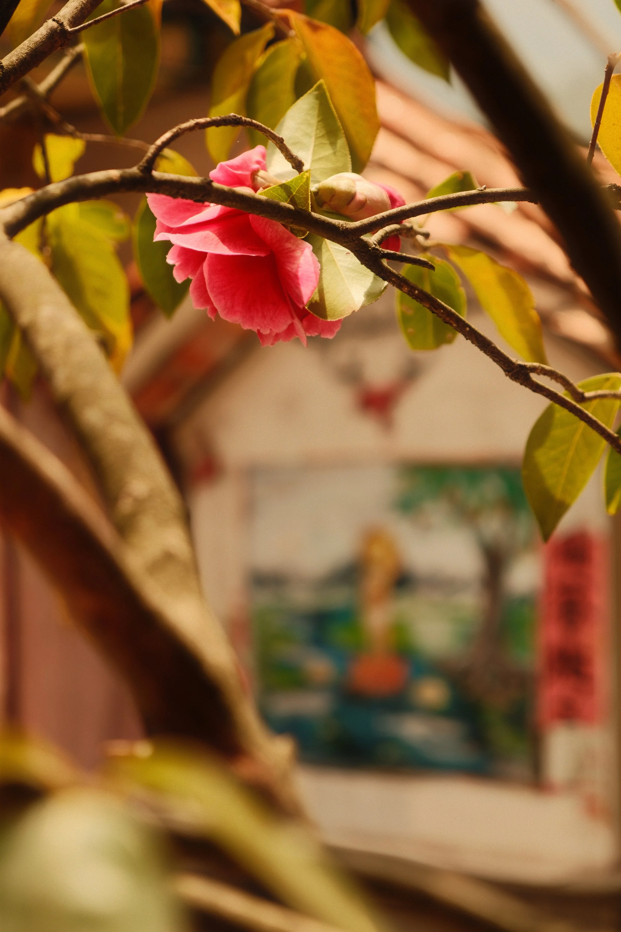 DSCF0636.JPG