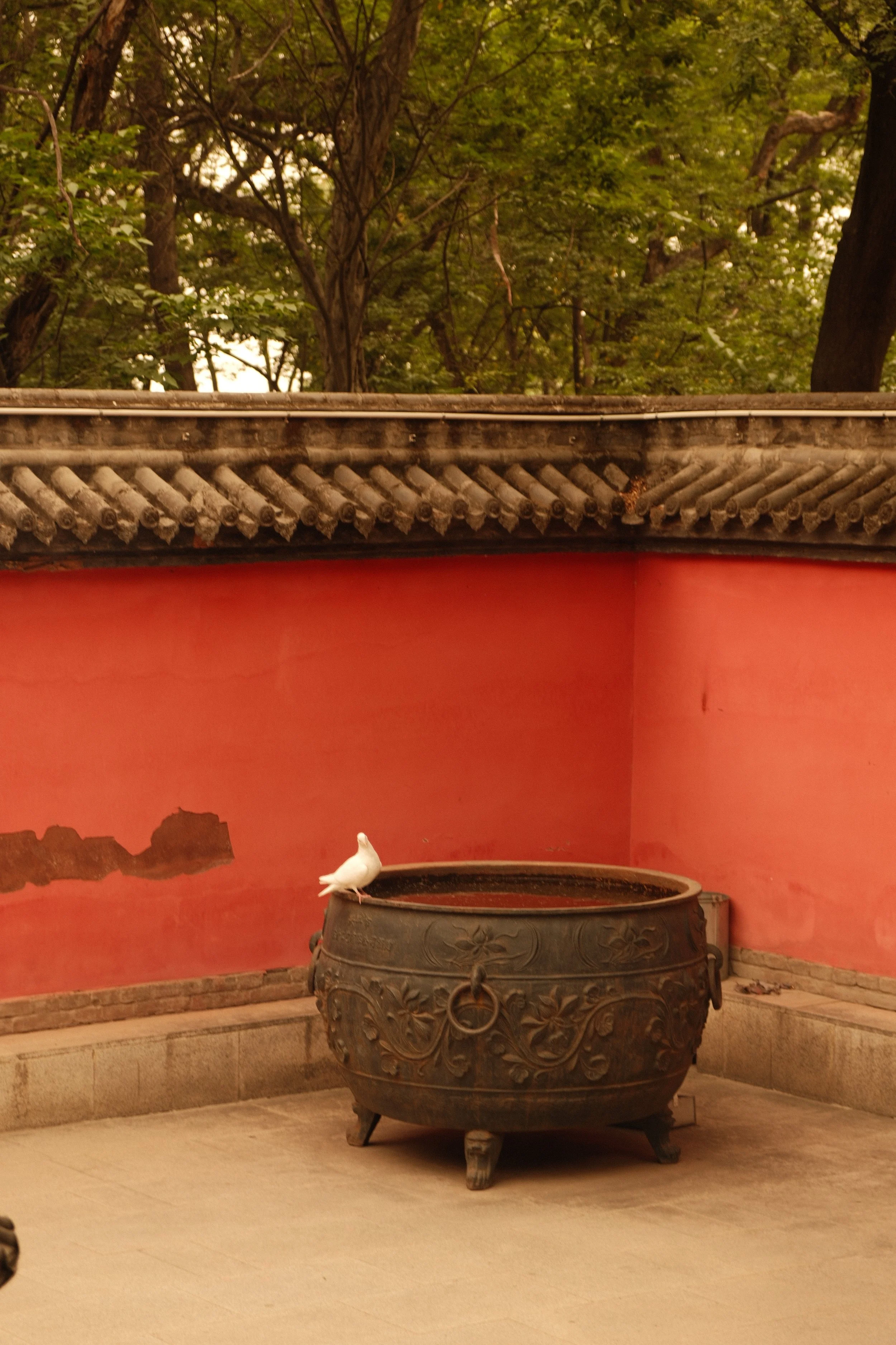 DSCF2691.JPG