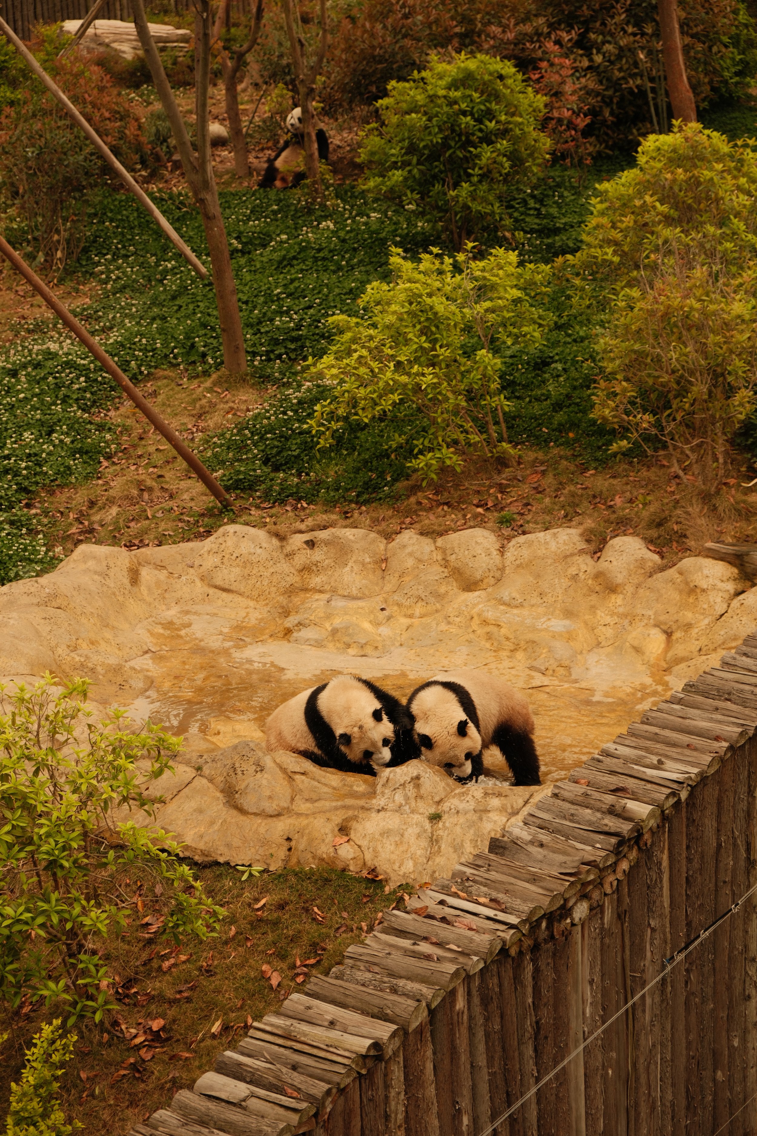 DSCF0775.JPG