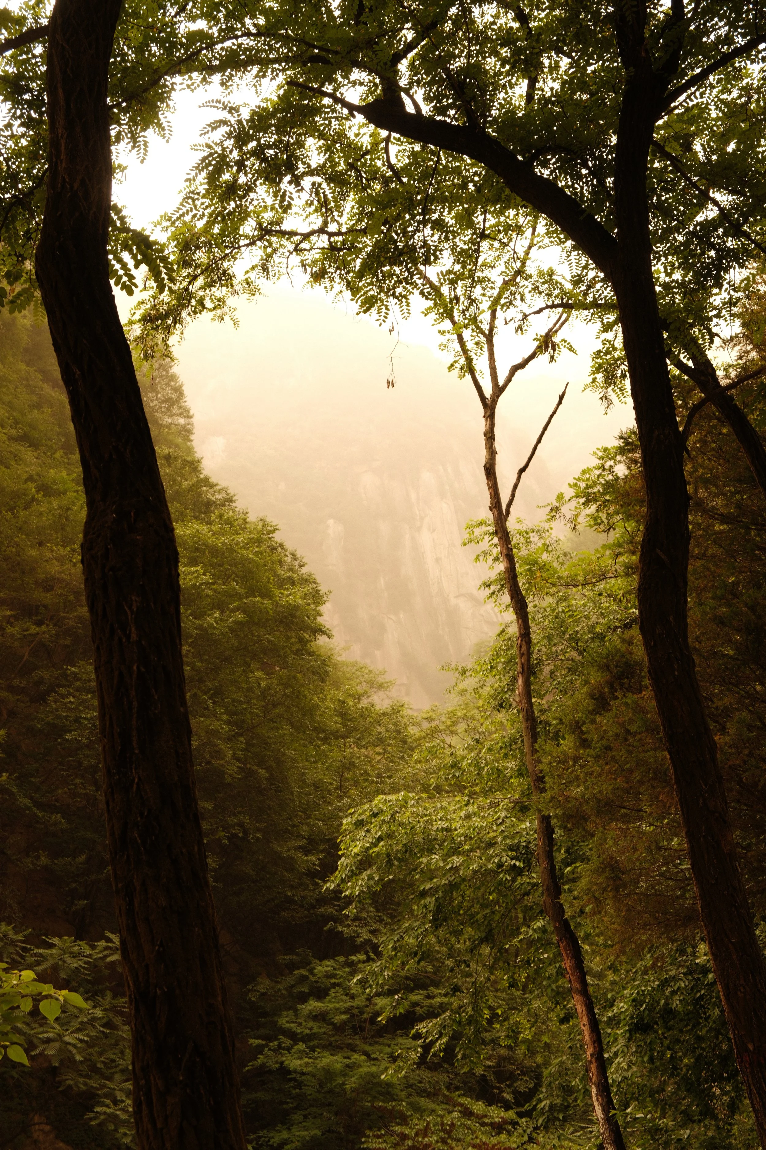 DSCF2707.JPG
