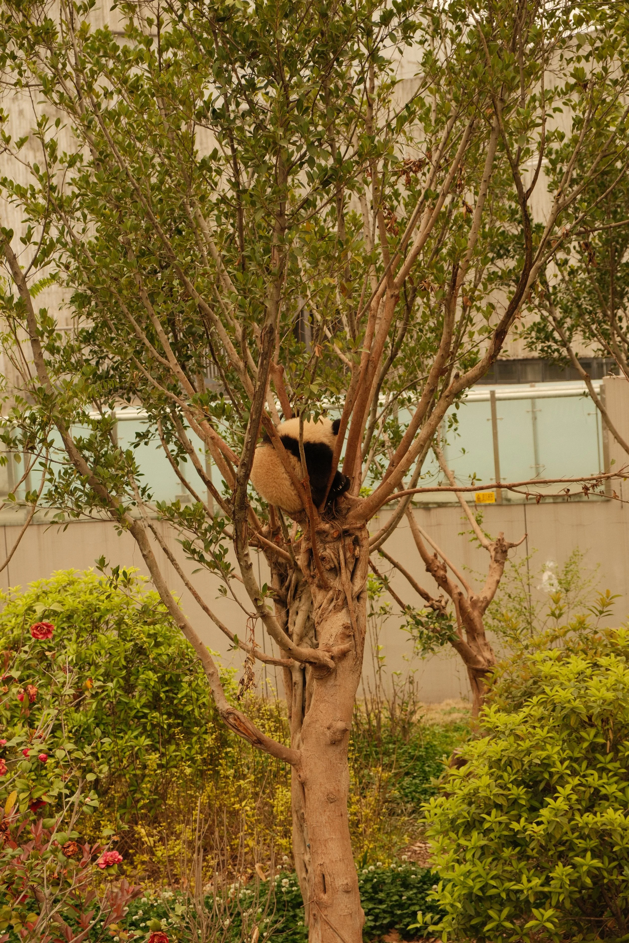 DSCF0943.JPG