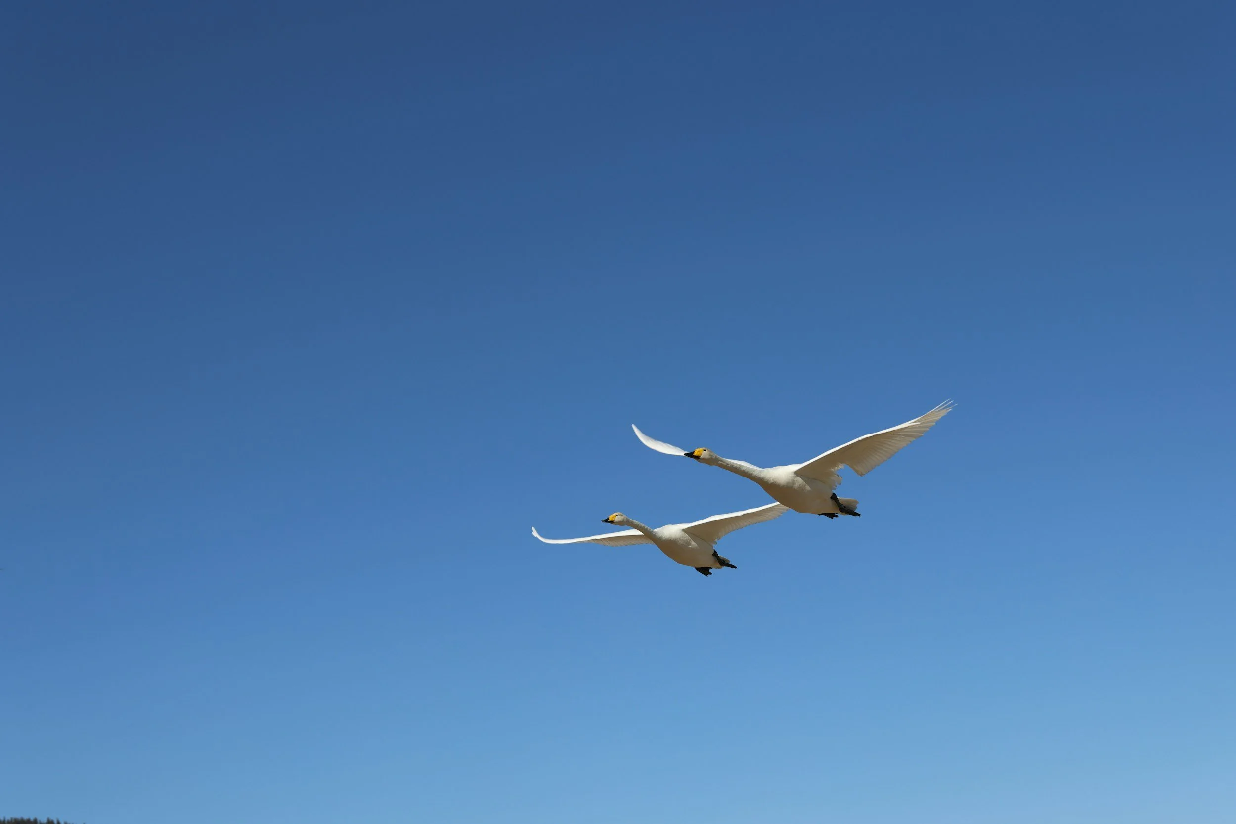 How Long Data Migration Really Takes: A Realistic Timeline