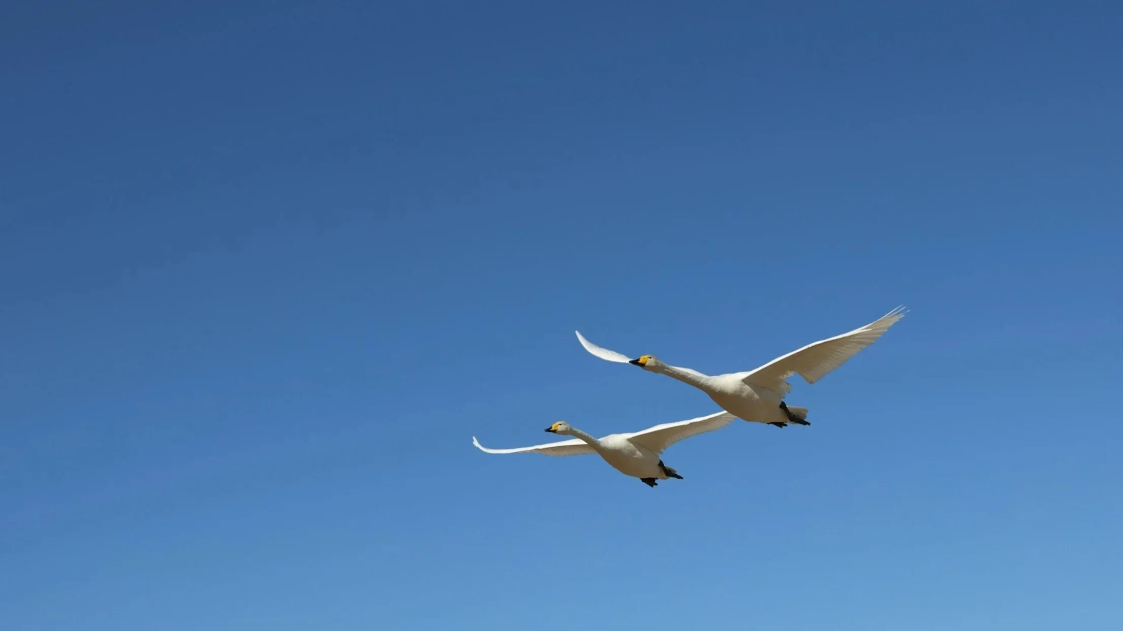 How Long Data Migration Really Takes: A Realistic Timeline