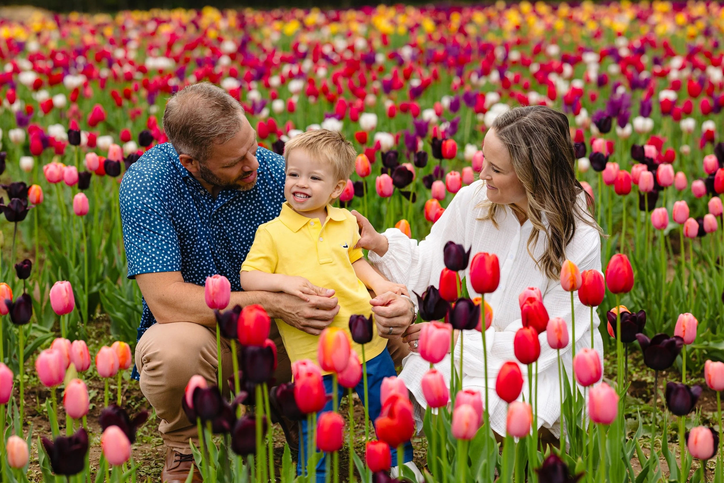 What to Wear for Tulip Field Photos: Outfit Tips for Families