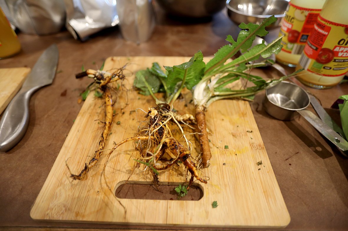 dock and dandelion root.jpg