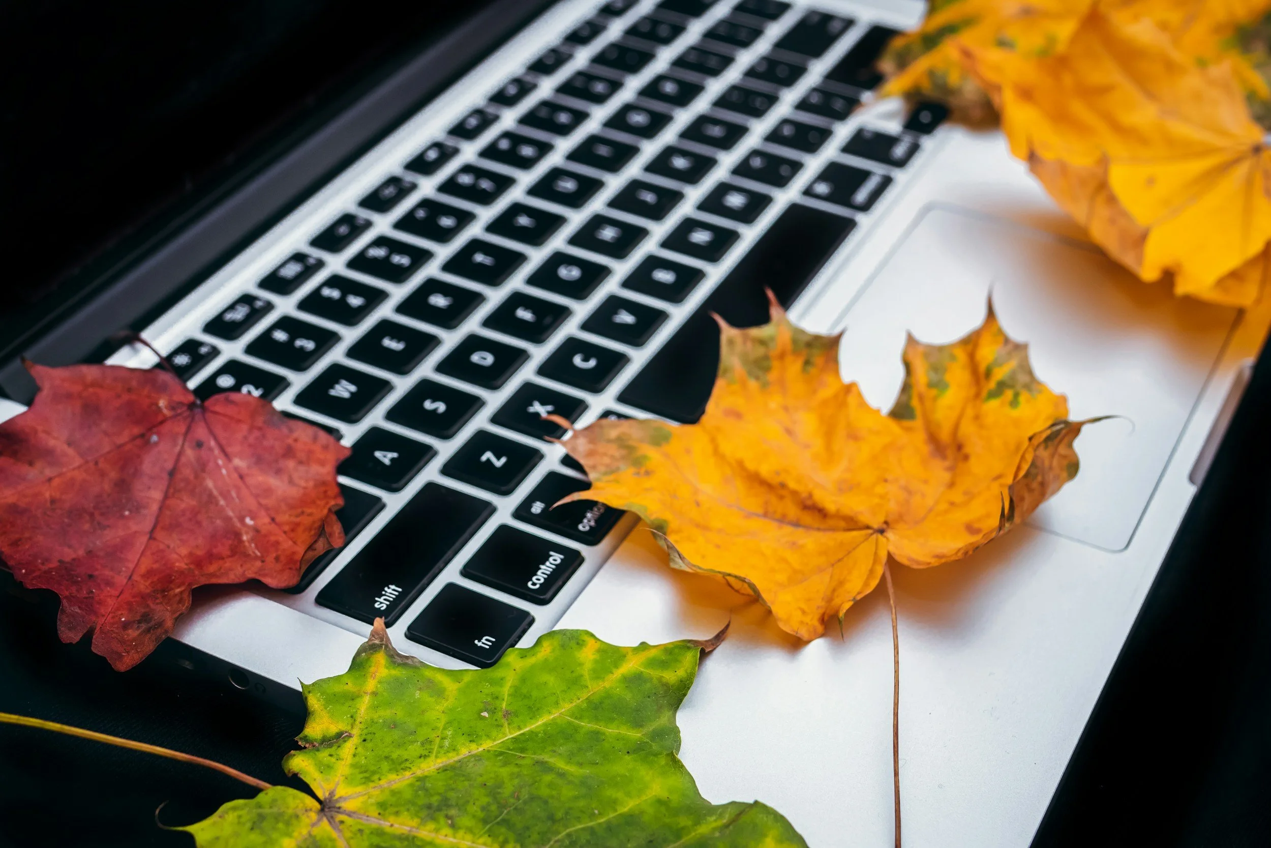 AI, Autumn, and the Art of Planning