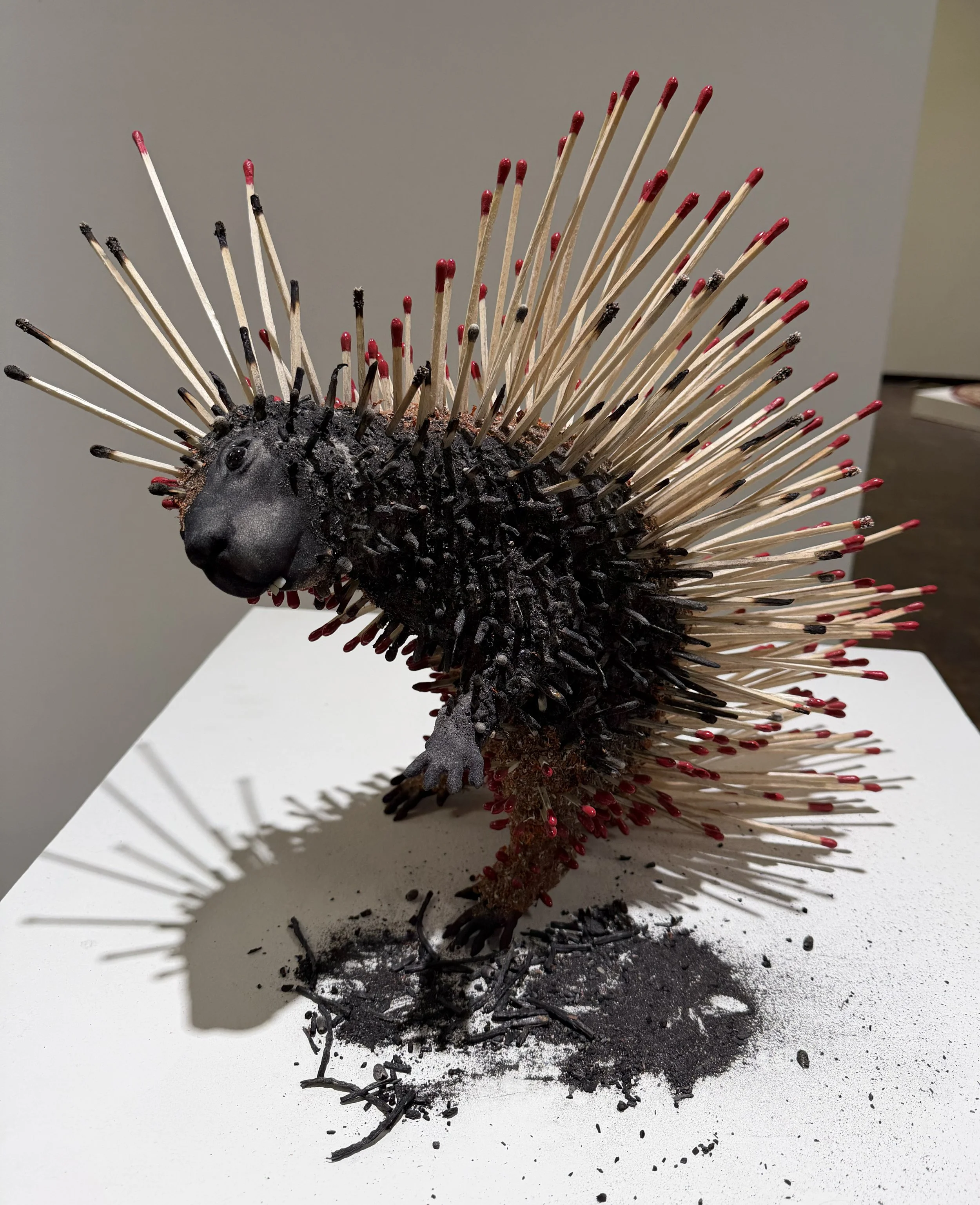 Porcupine_08.jpg
