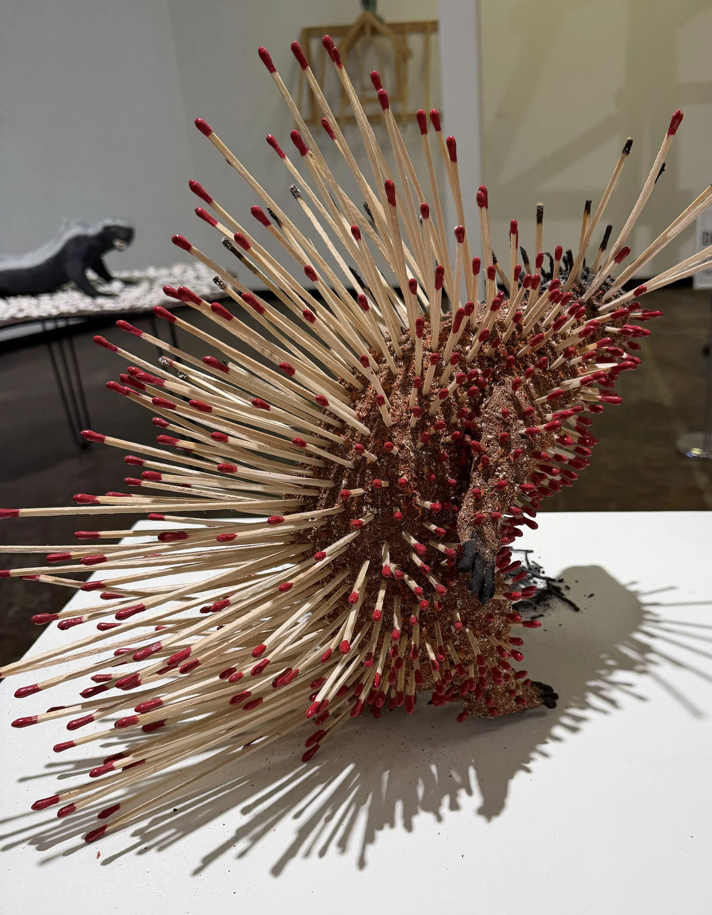 Porcupine_13.jpg