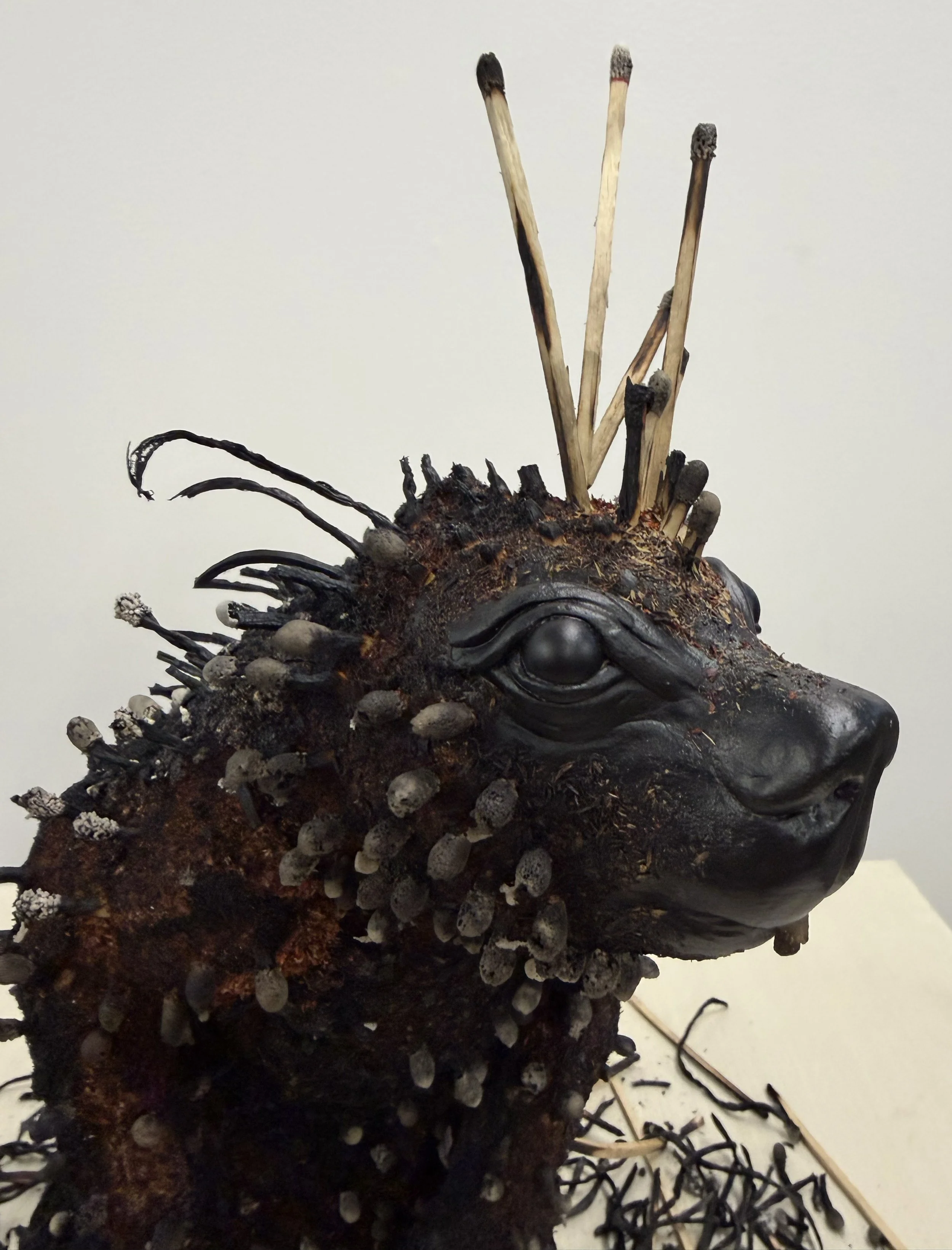 Porcupine_02.jpg