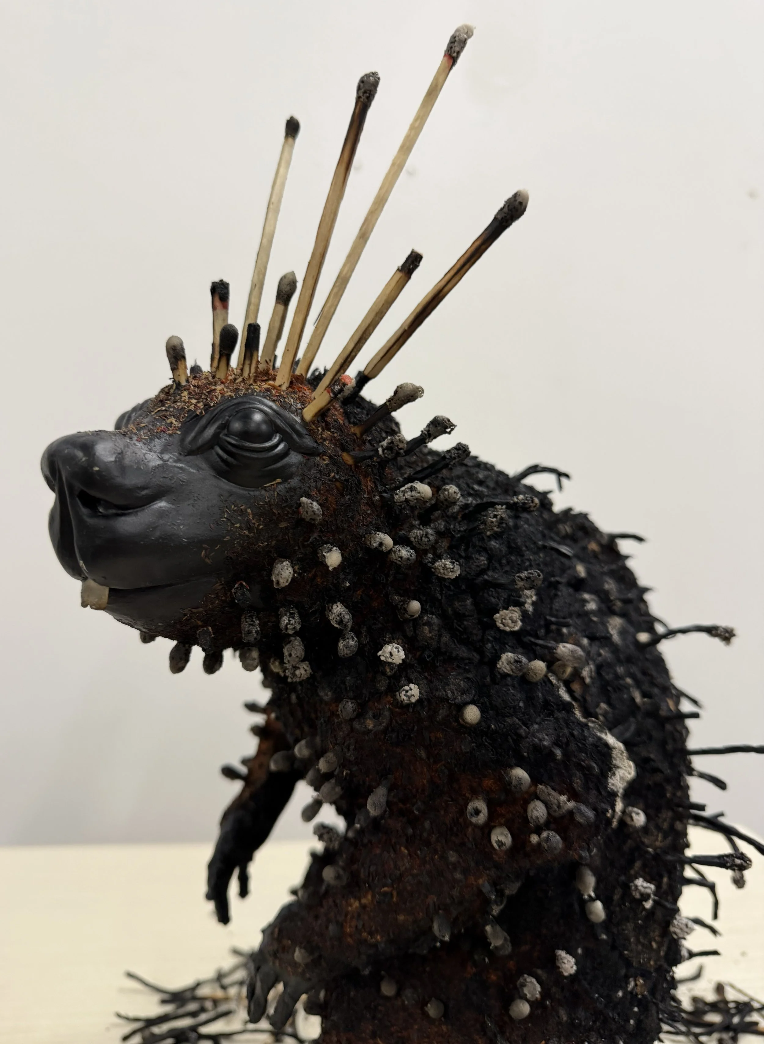 Porcupine_03.jpg