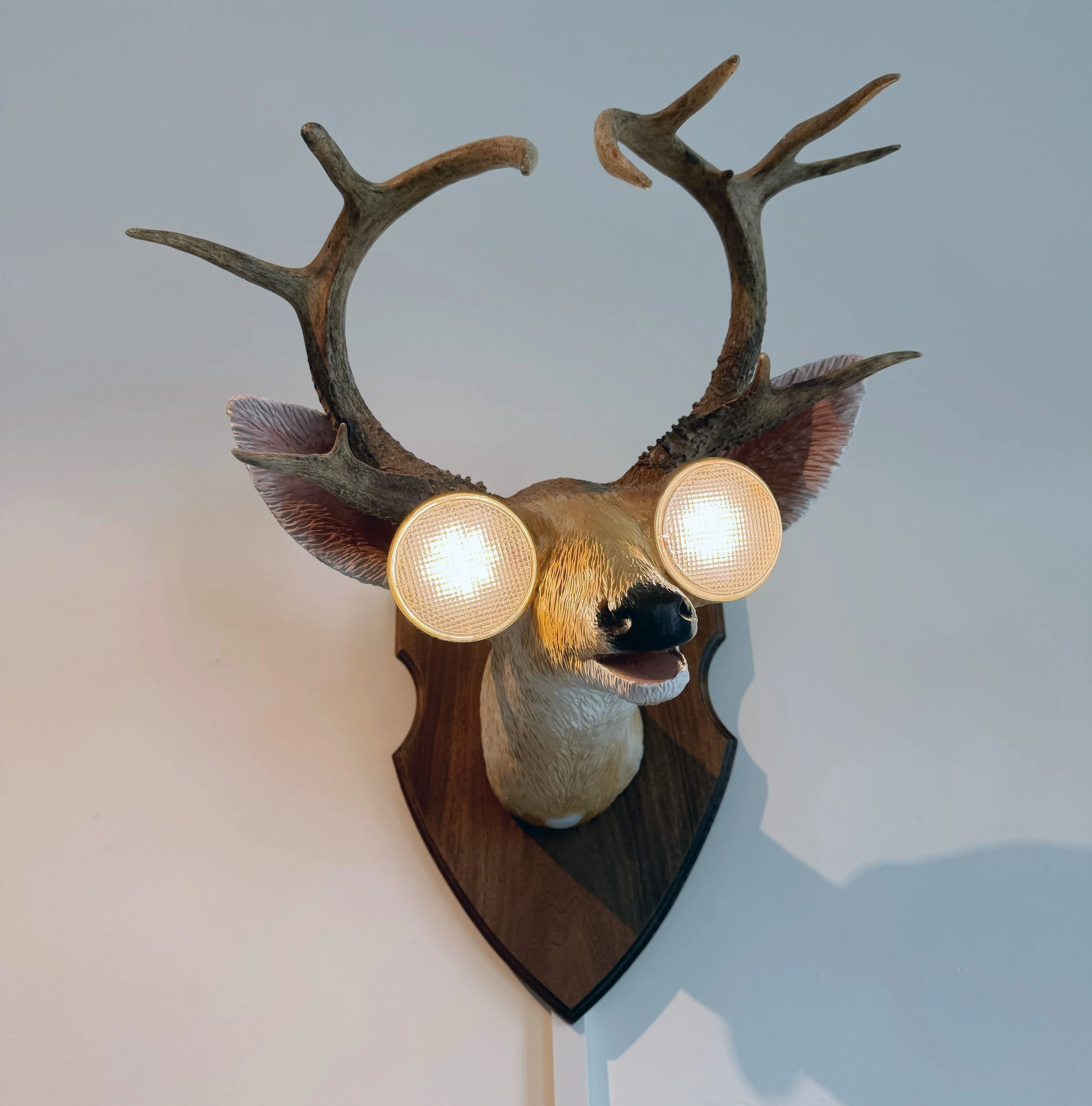 DeerinHeadlights_02.jpg
