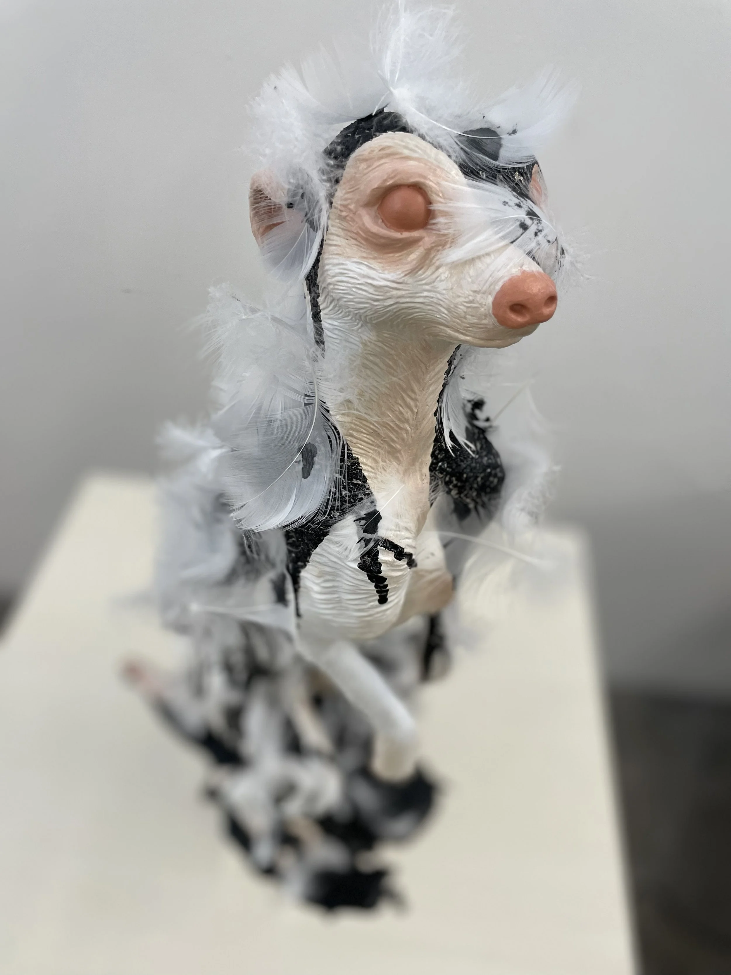 FeatherandTarred_02.jpg