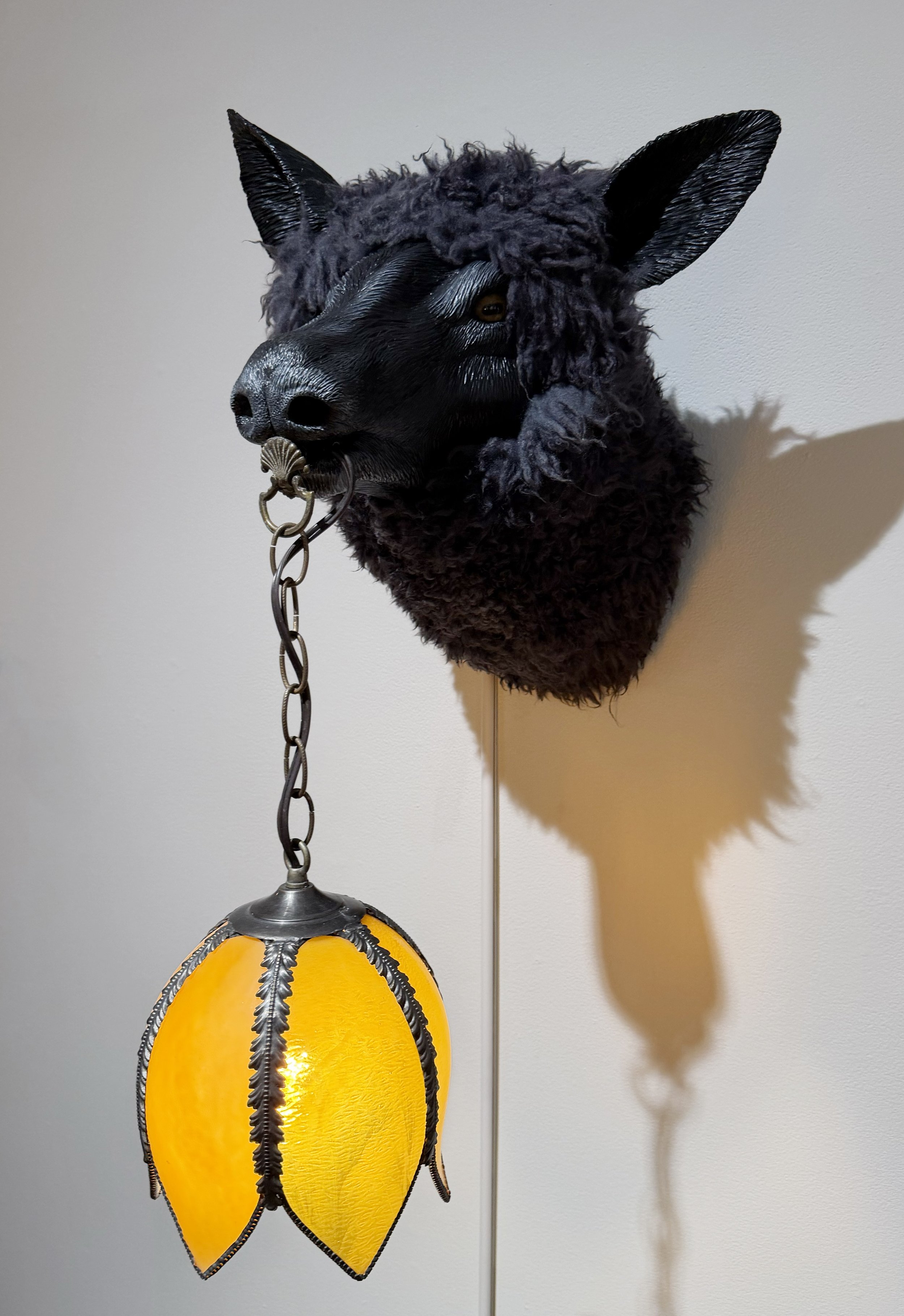 sheep.jpg
