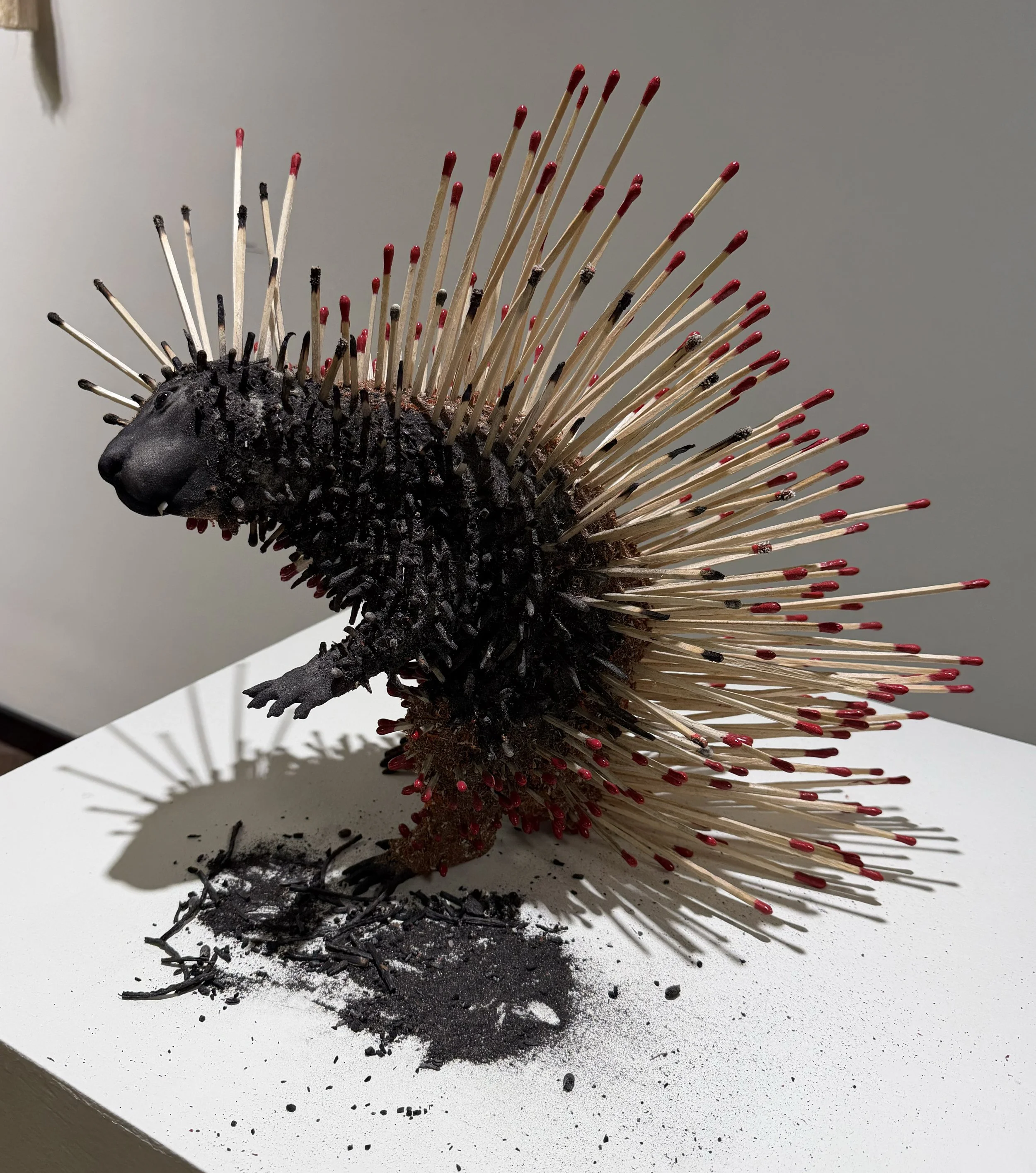 Porcupine_09.jpg