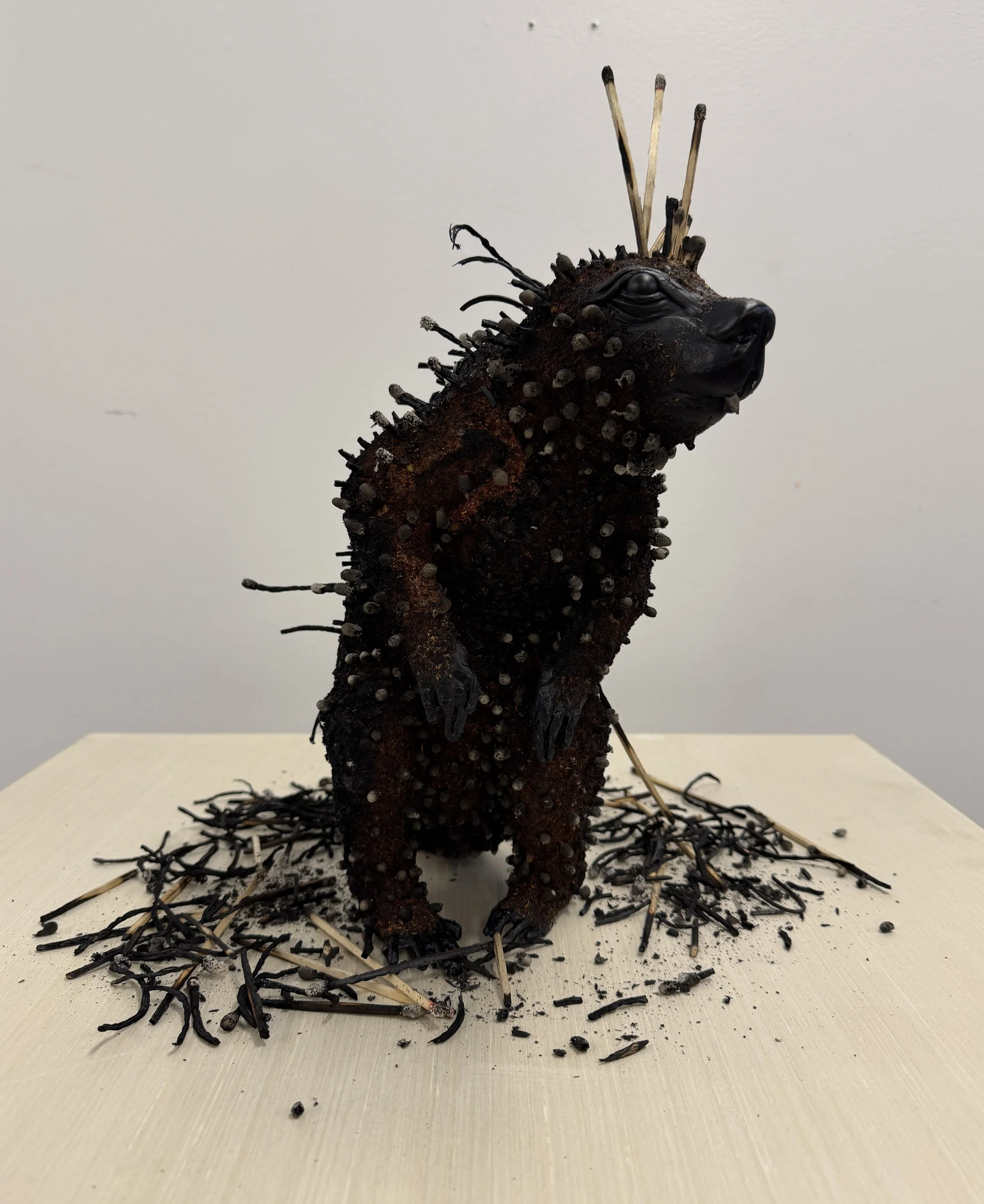 Porcupine_01.jpg