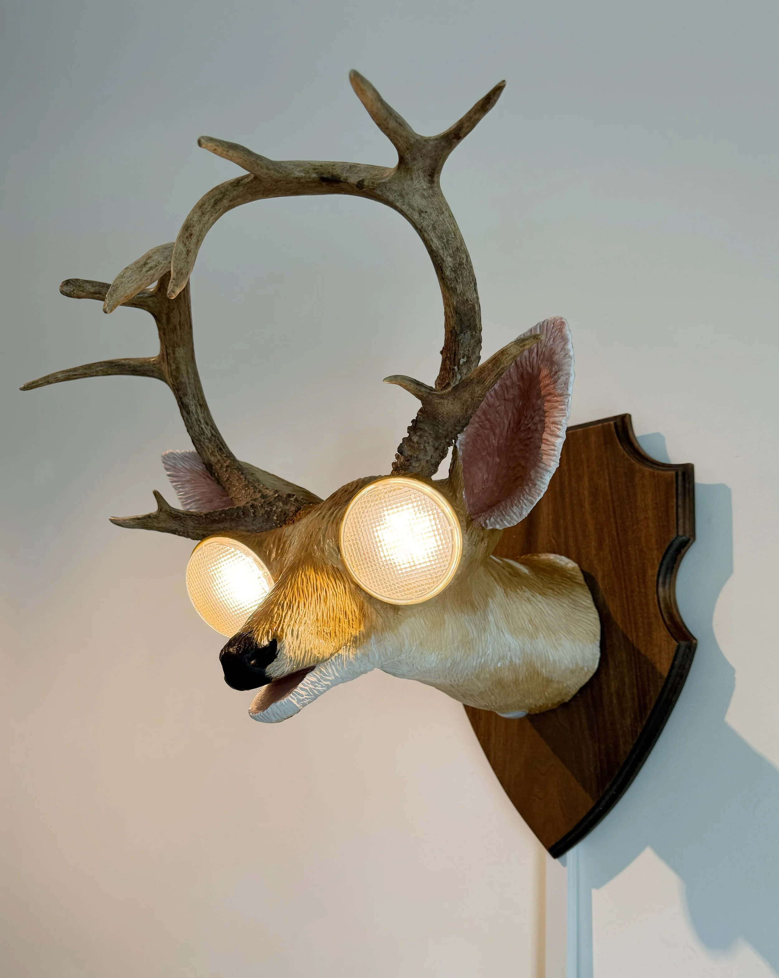 DeerinHeadlights_01.jpg