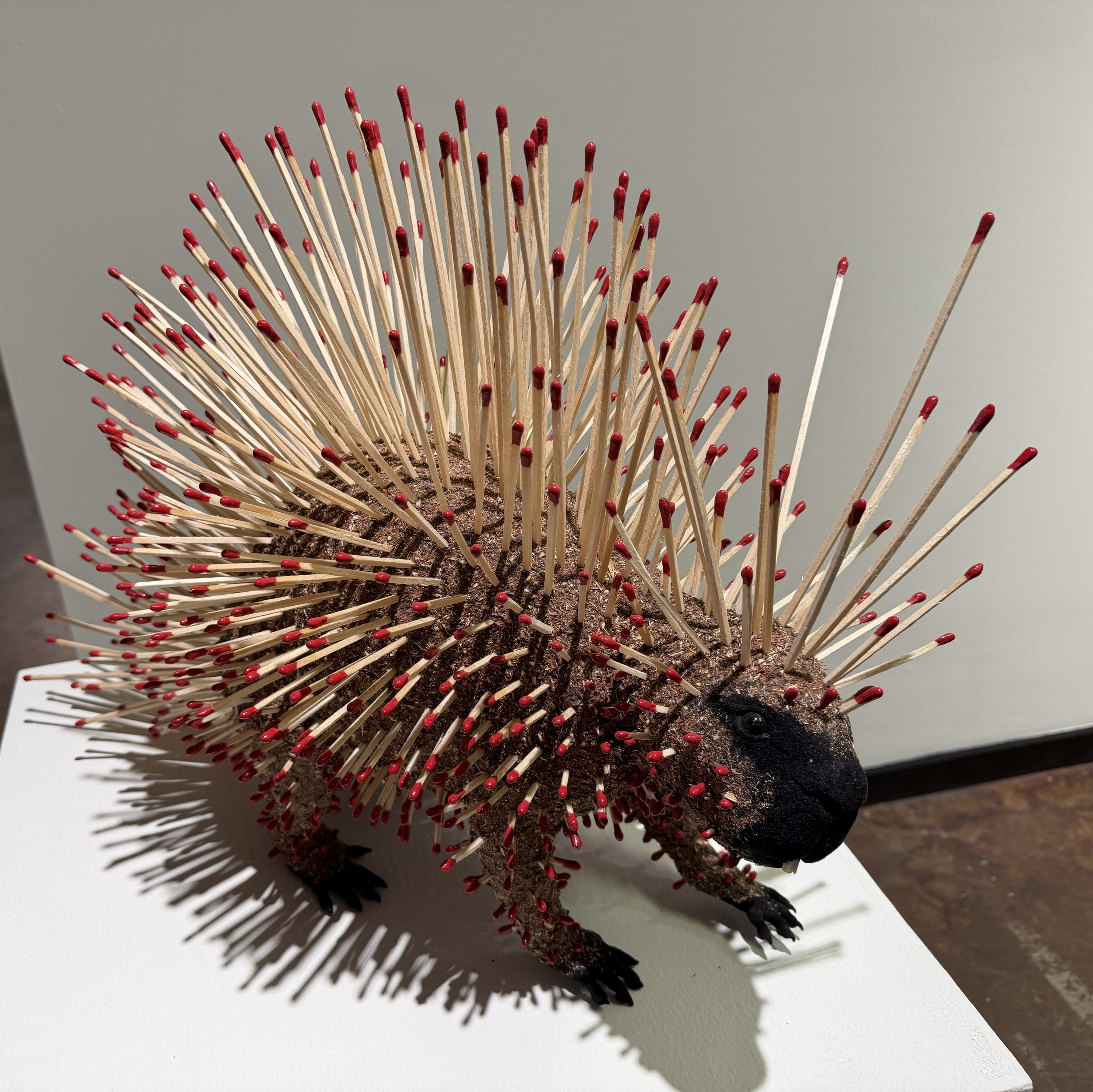 Porcupine_07.jpg