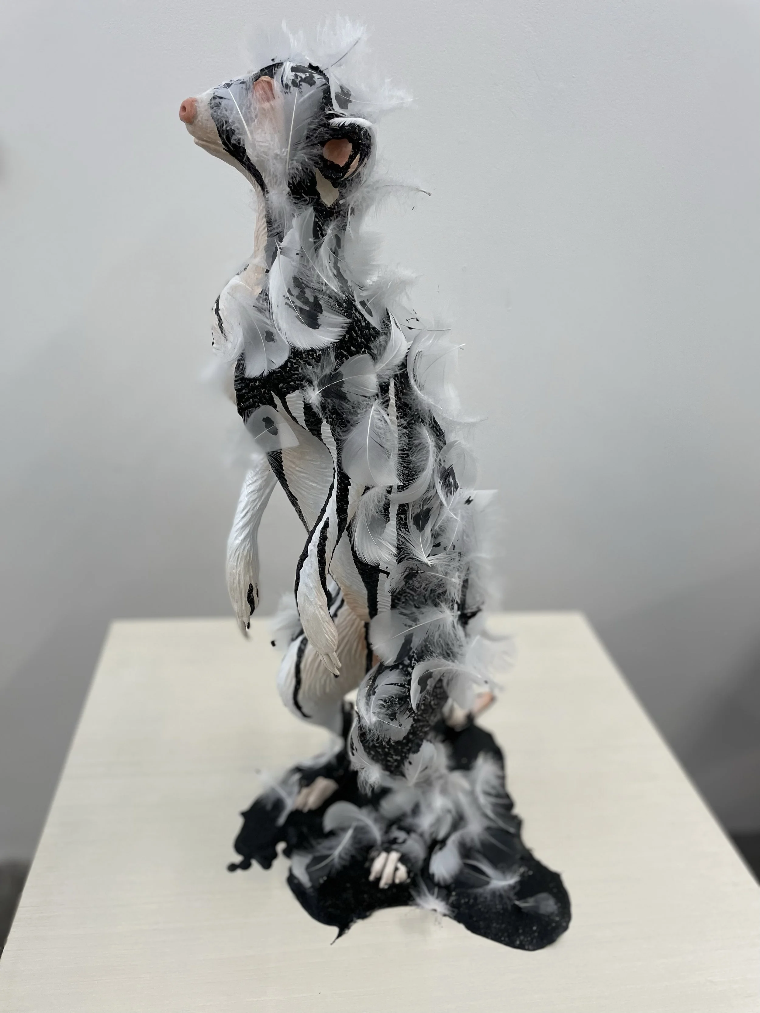 FeatherandTarred_04.jpg