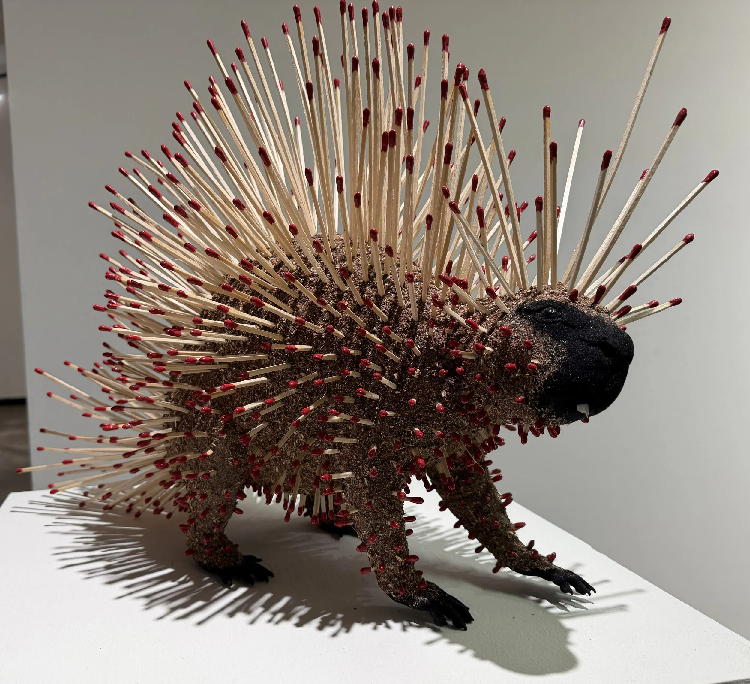 Porcupine_06.jpg