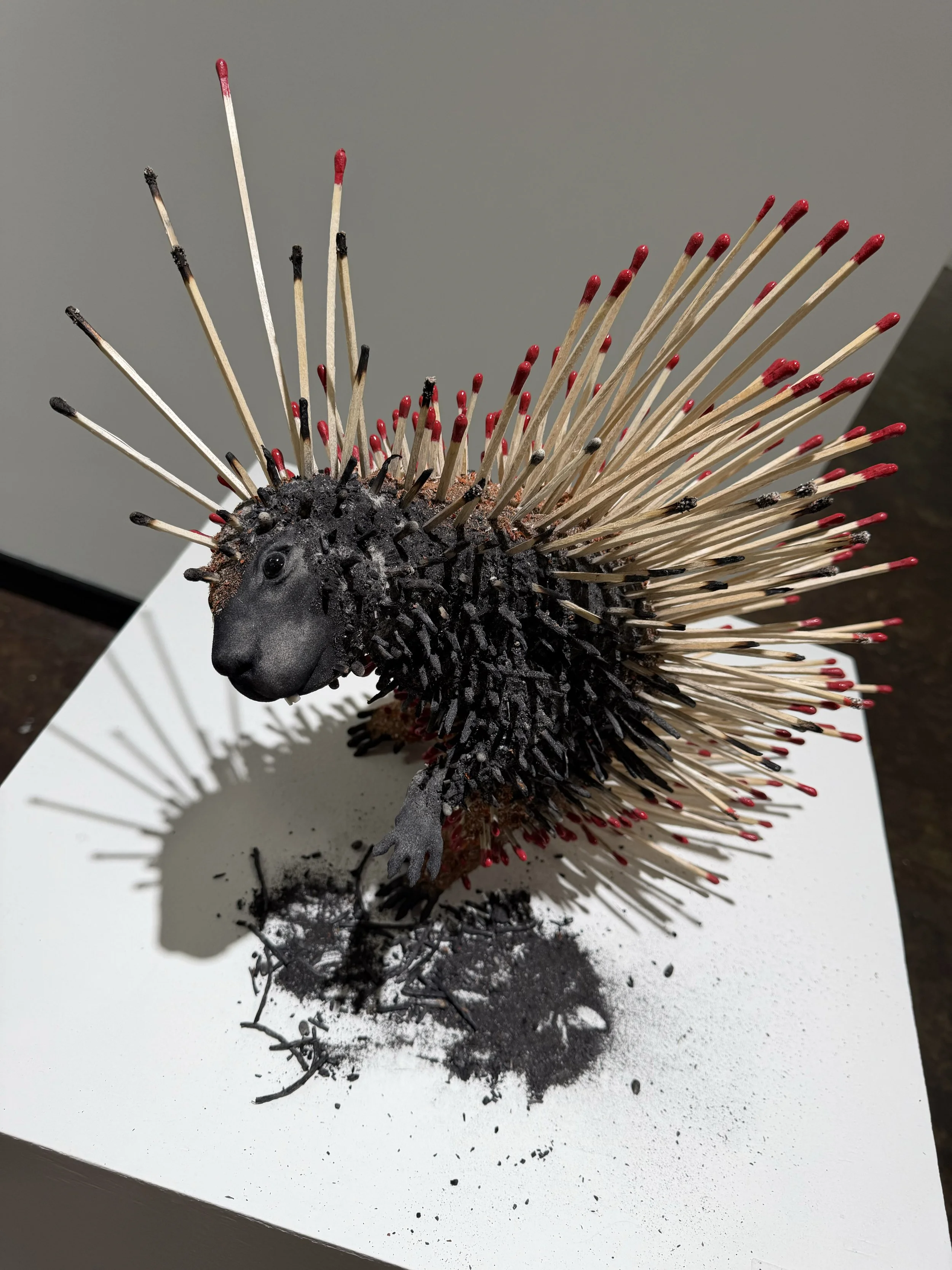 Porcupine_11.jpg
