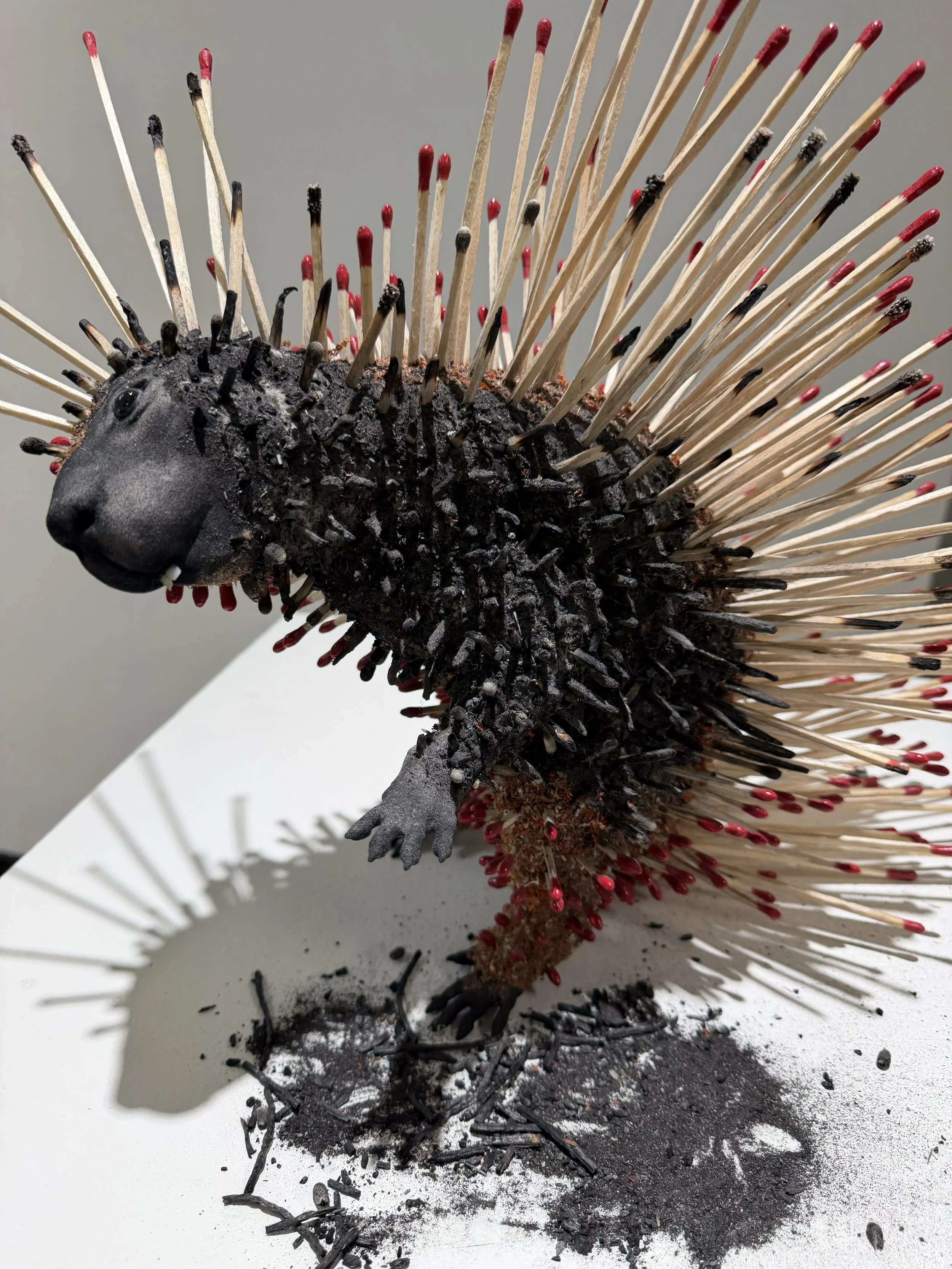 Porcupine_10.jpg