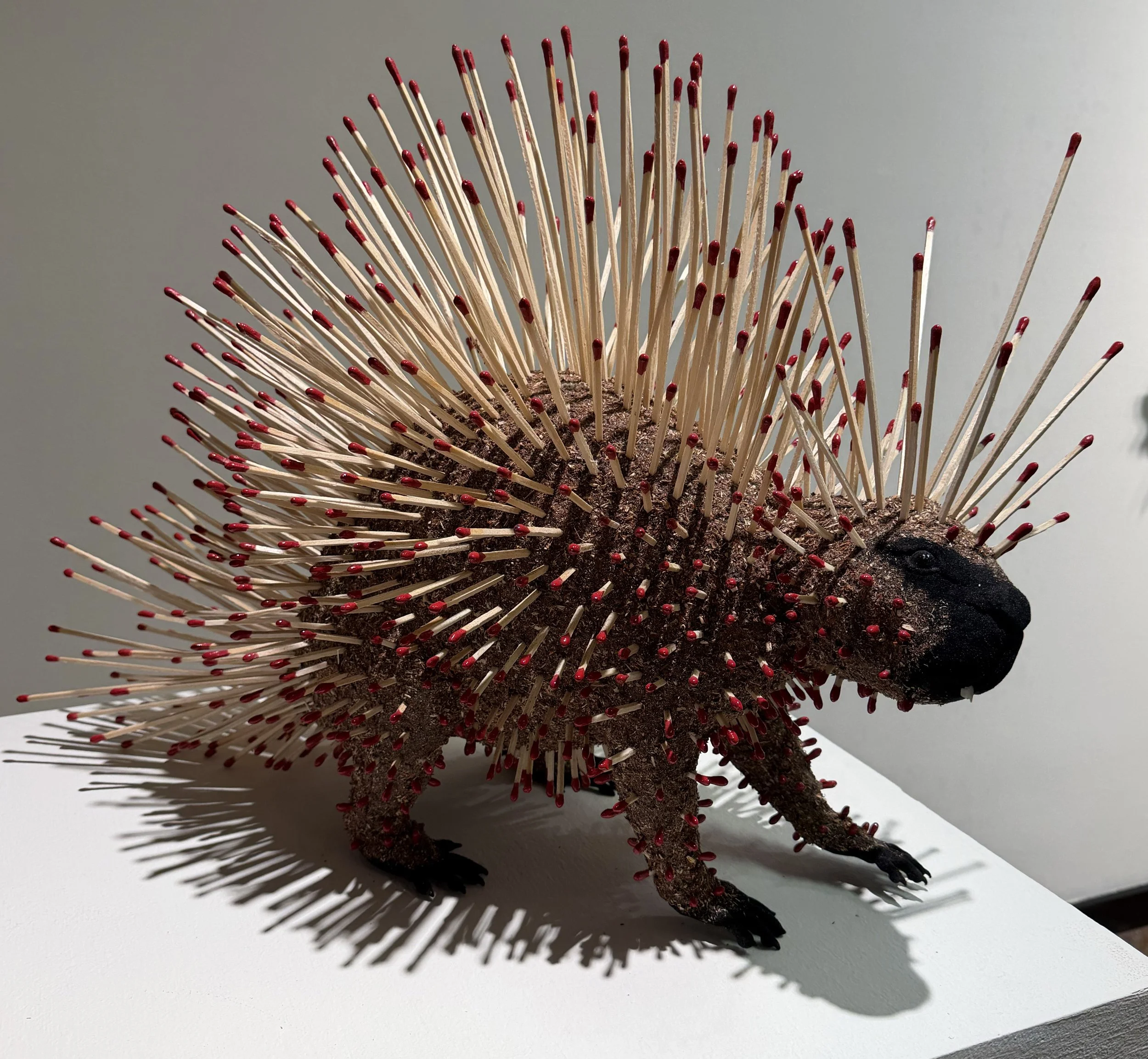 Matchbook Porcupine Series