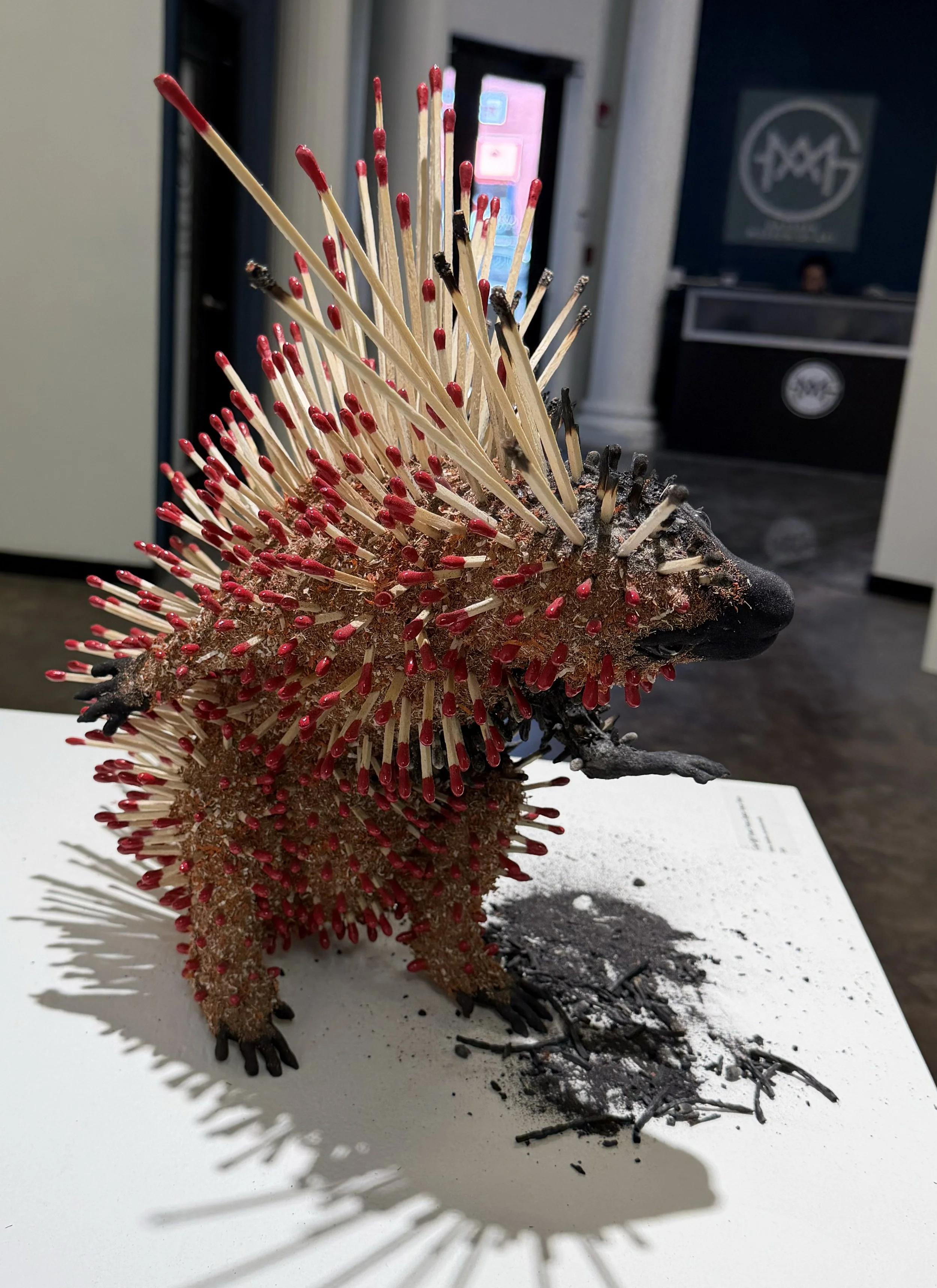 Porcupine_12.jpg