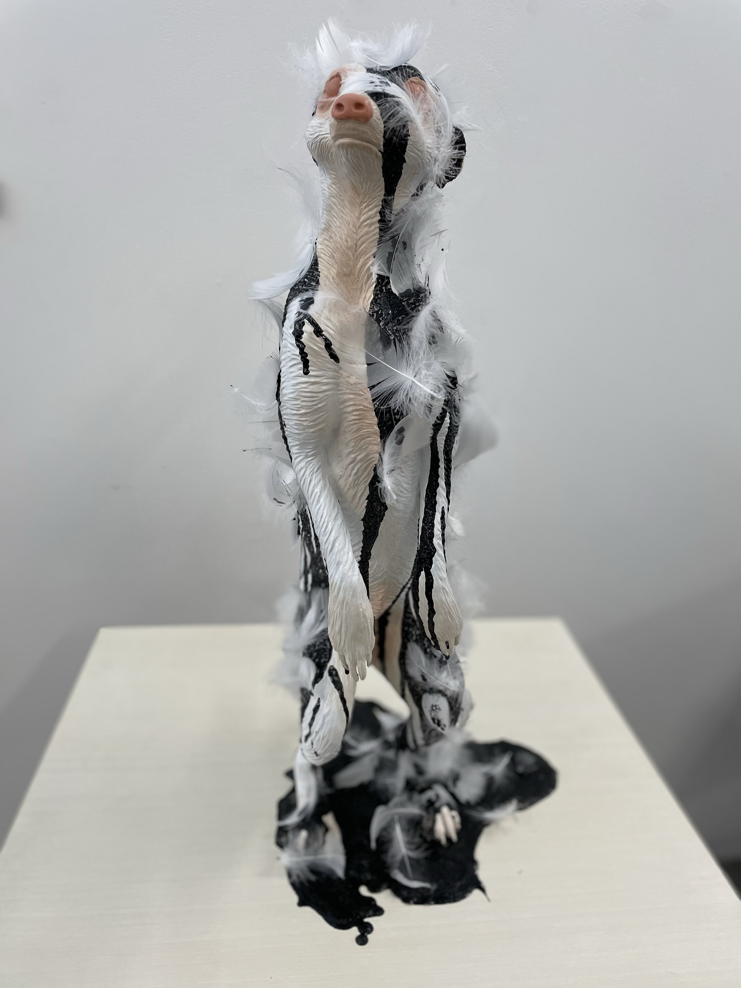 FeatherandTarred_03.jpg