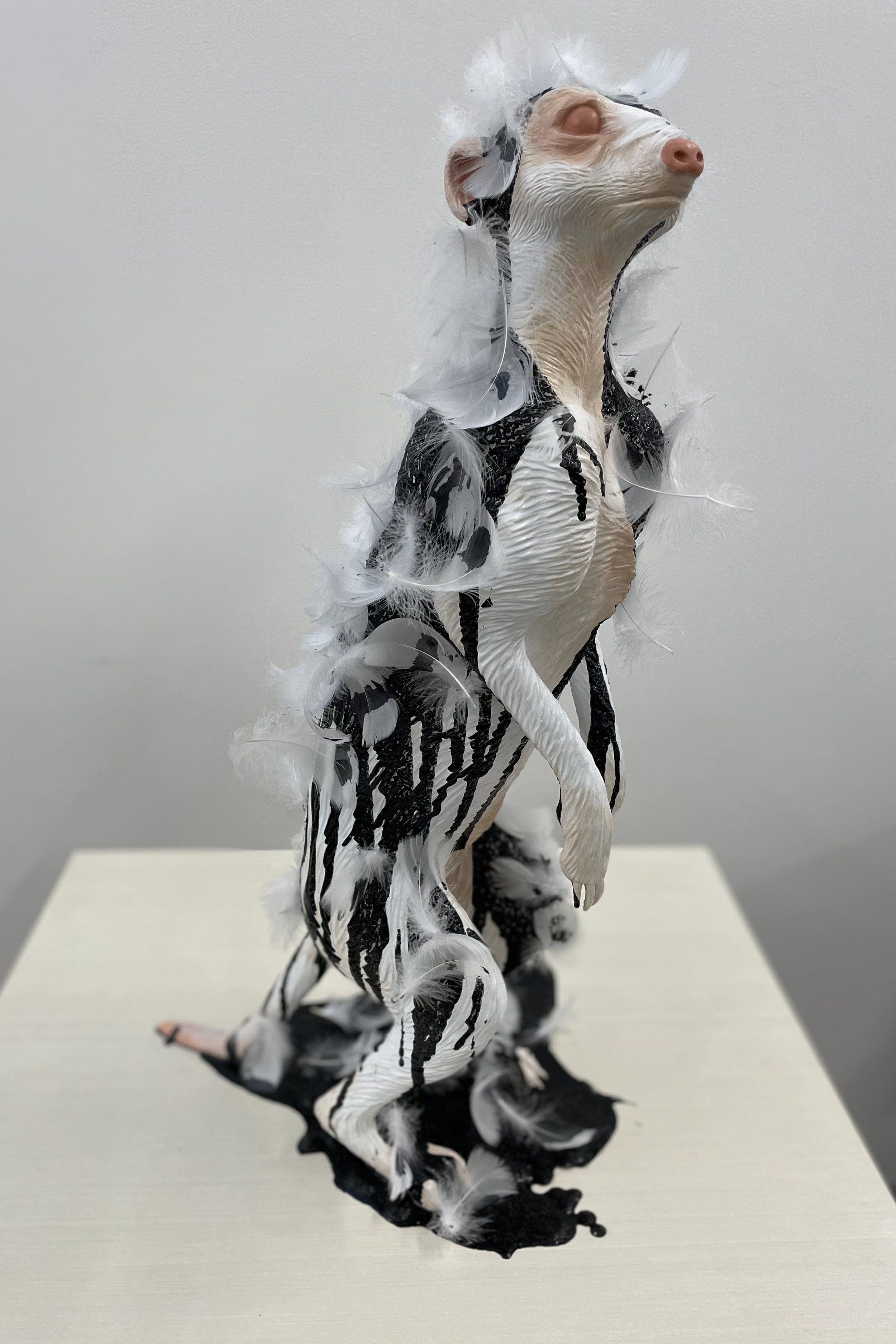 FeatherandTarred_01.jpg