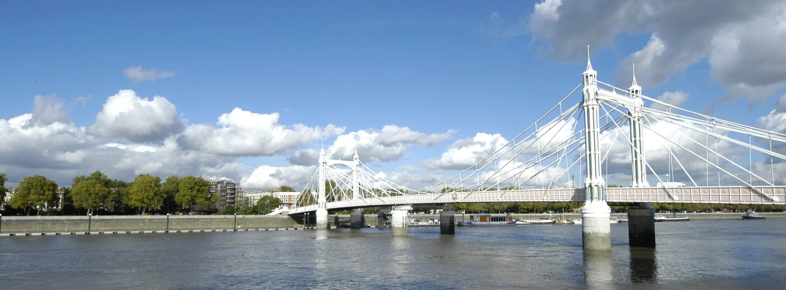 003 GUY FEARON 0131 Albert bridge Hi res.JPG