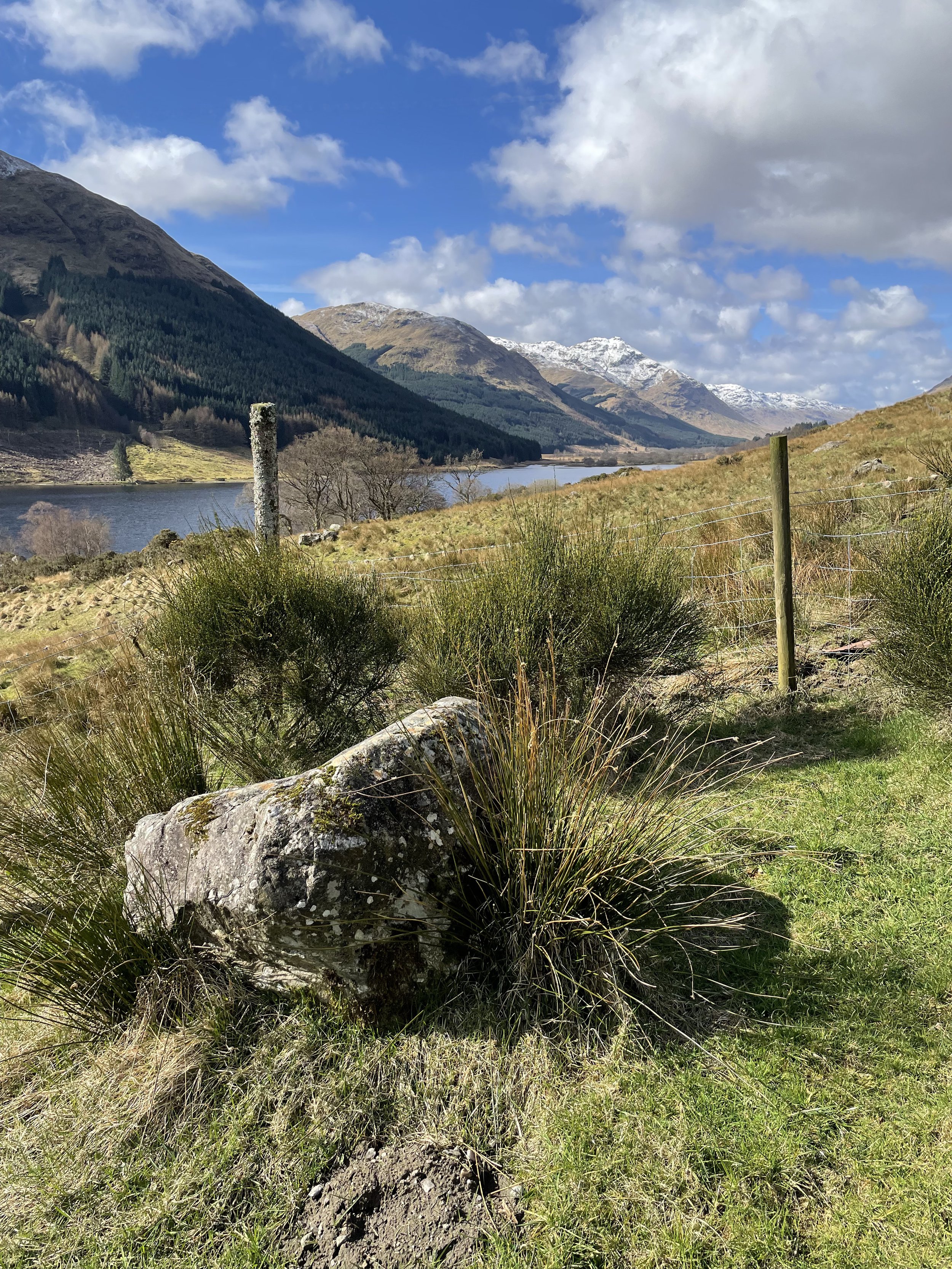 Loch rock no piglet .jpeg