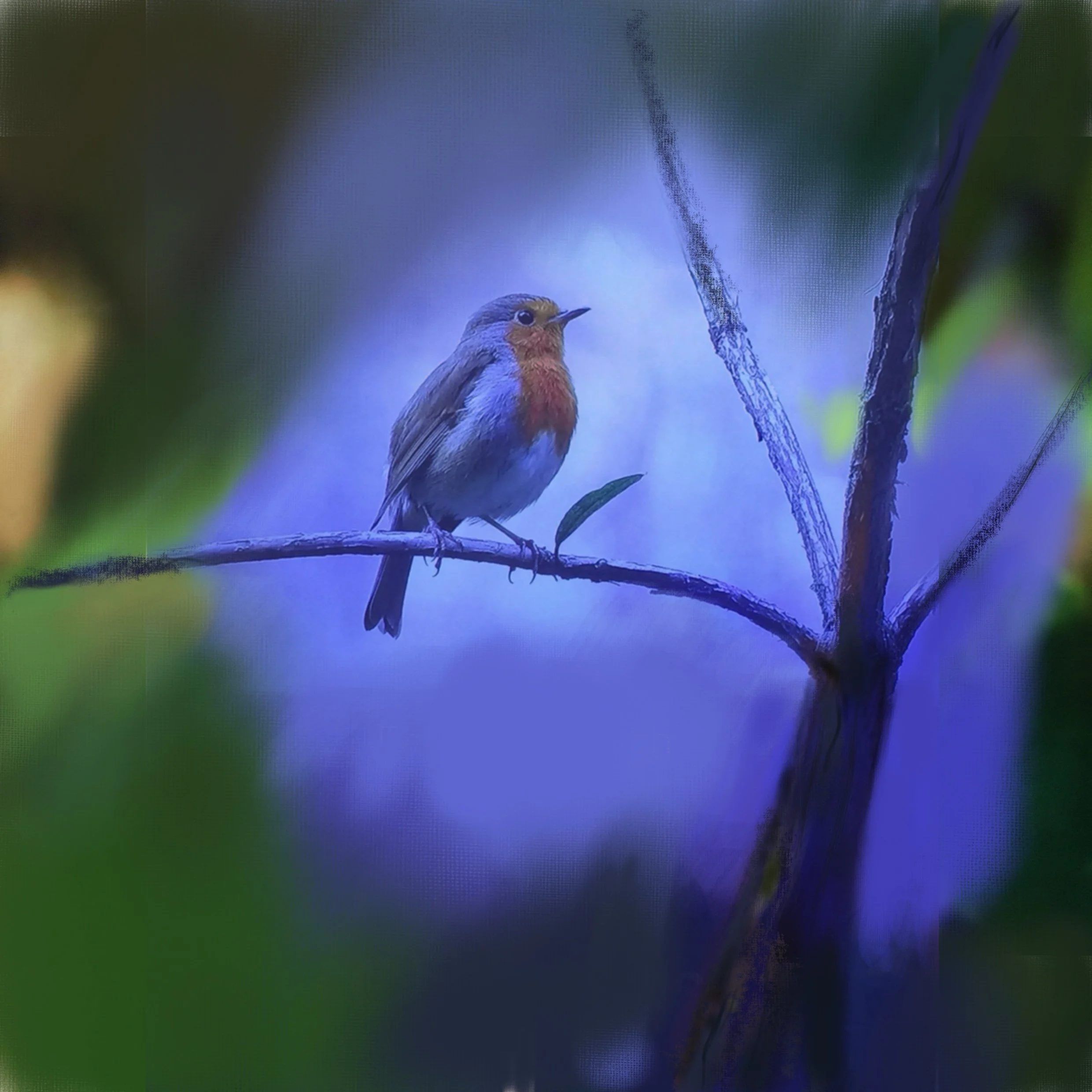 Undergrowth_Bird.jpg