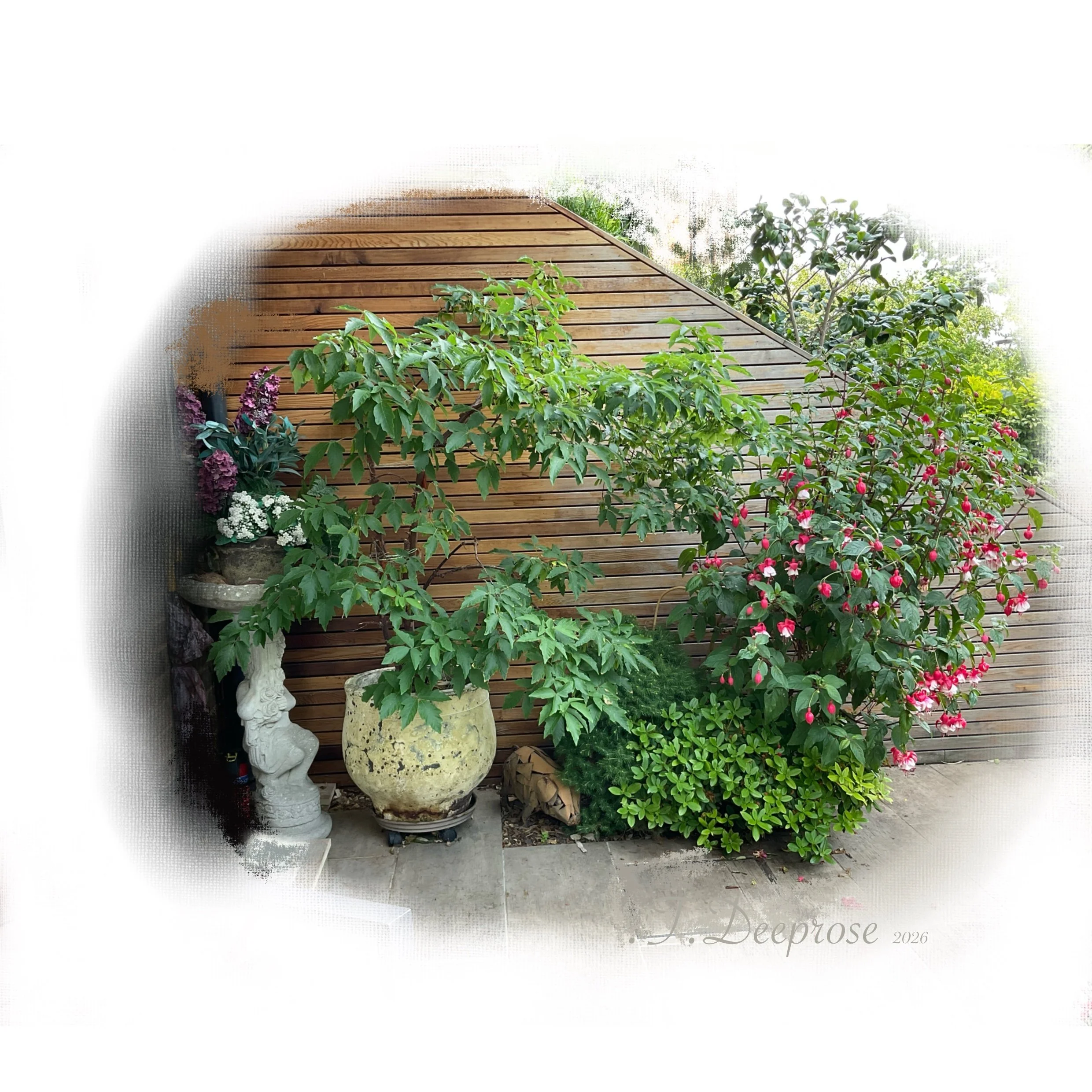 :garden_10.jpg