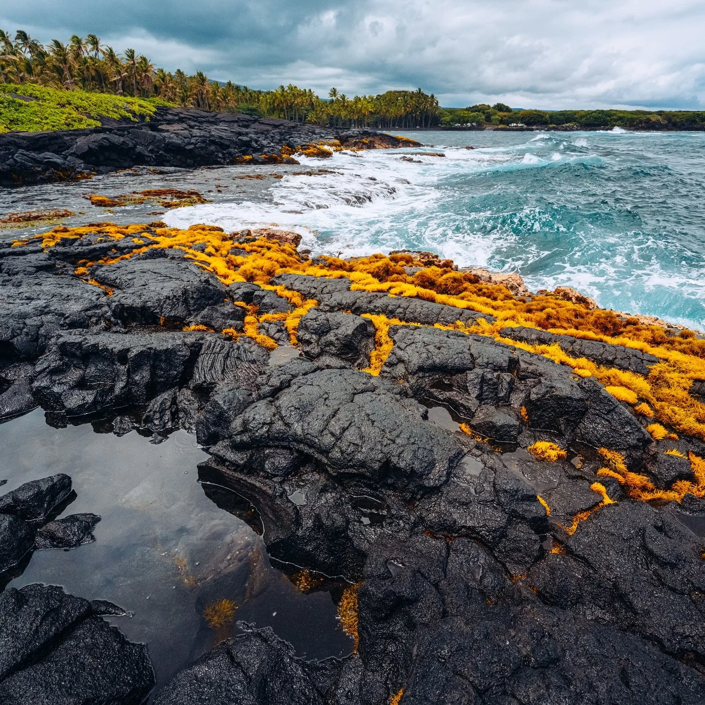 Von der anderen Seite der Welt. 

#hawaii